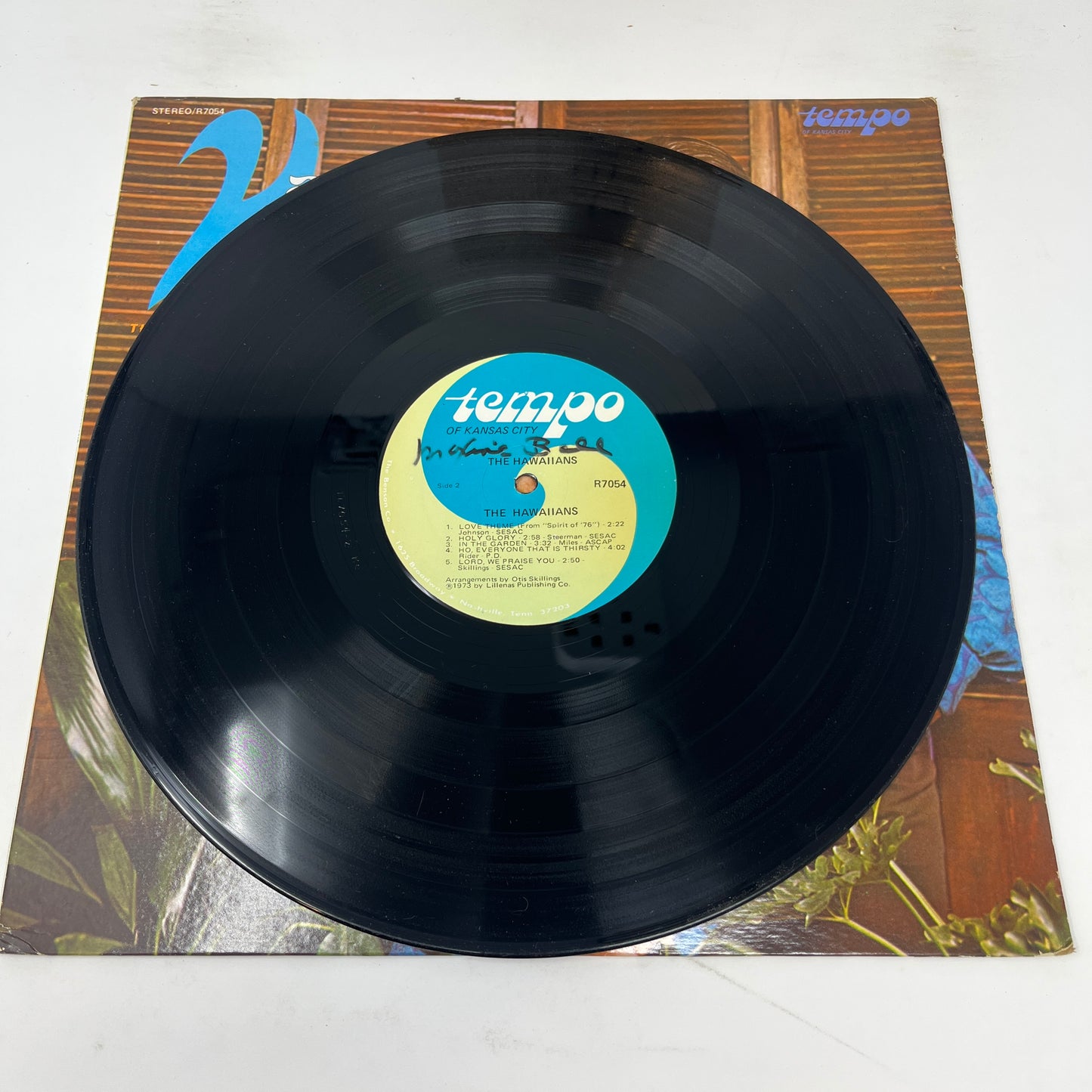 The Hawaiians (3) : Hawaiians (LP,Album)