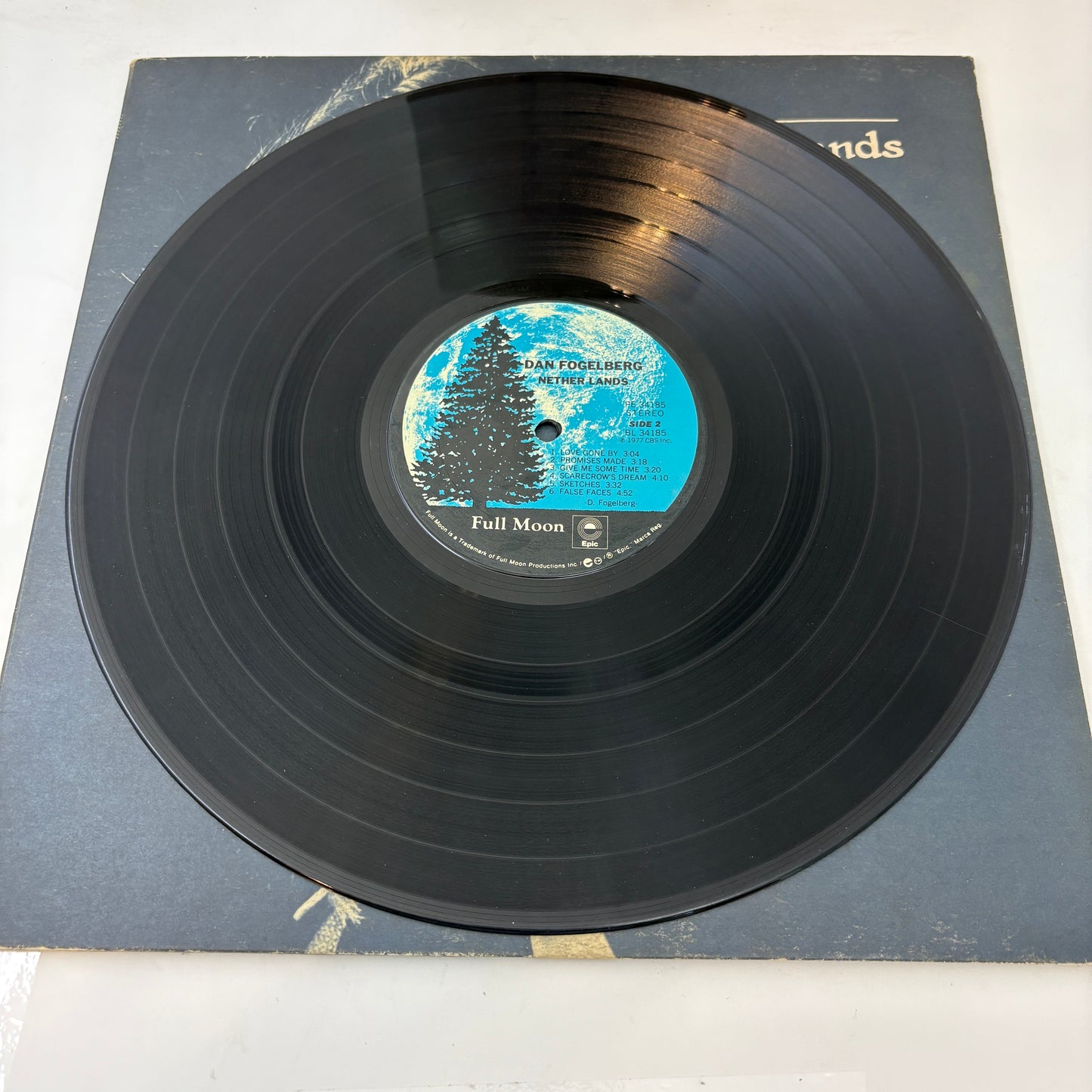 Dan Fogelberg : Nether Lands (LP,Album)