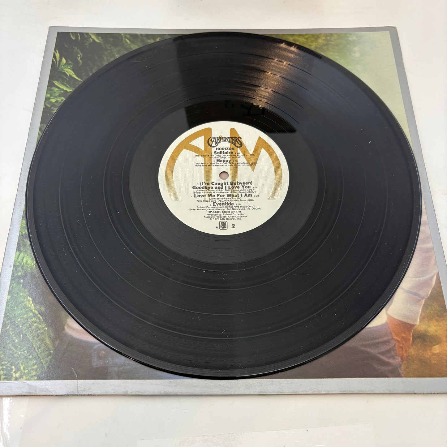 Carpenters : Horizon (LP,Album)