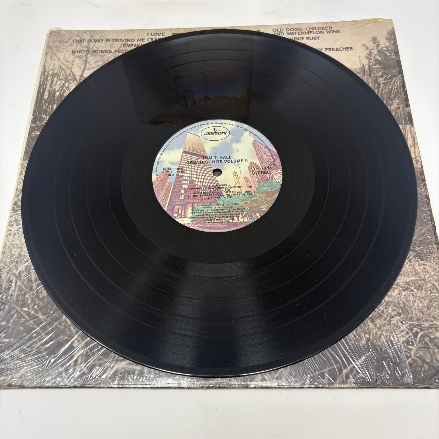 Tom T. Hall : Greatest Hits, Vol. 2 (LP,Compilation,Stereo)