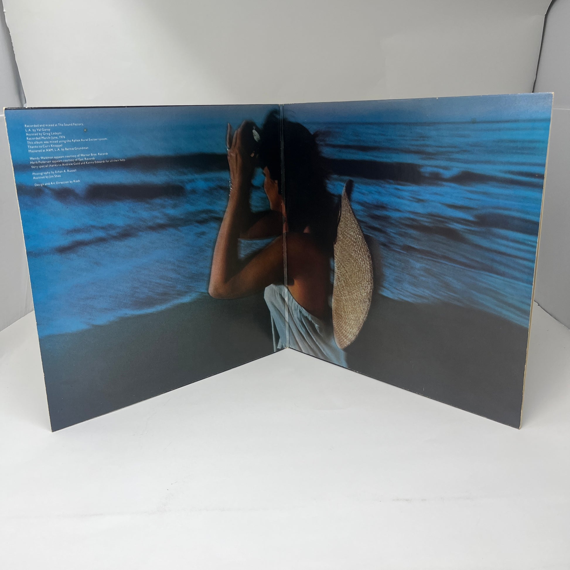 Linda Ronstadt : Hasten Down The Wind (LP,Album,Stereo)