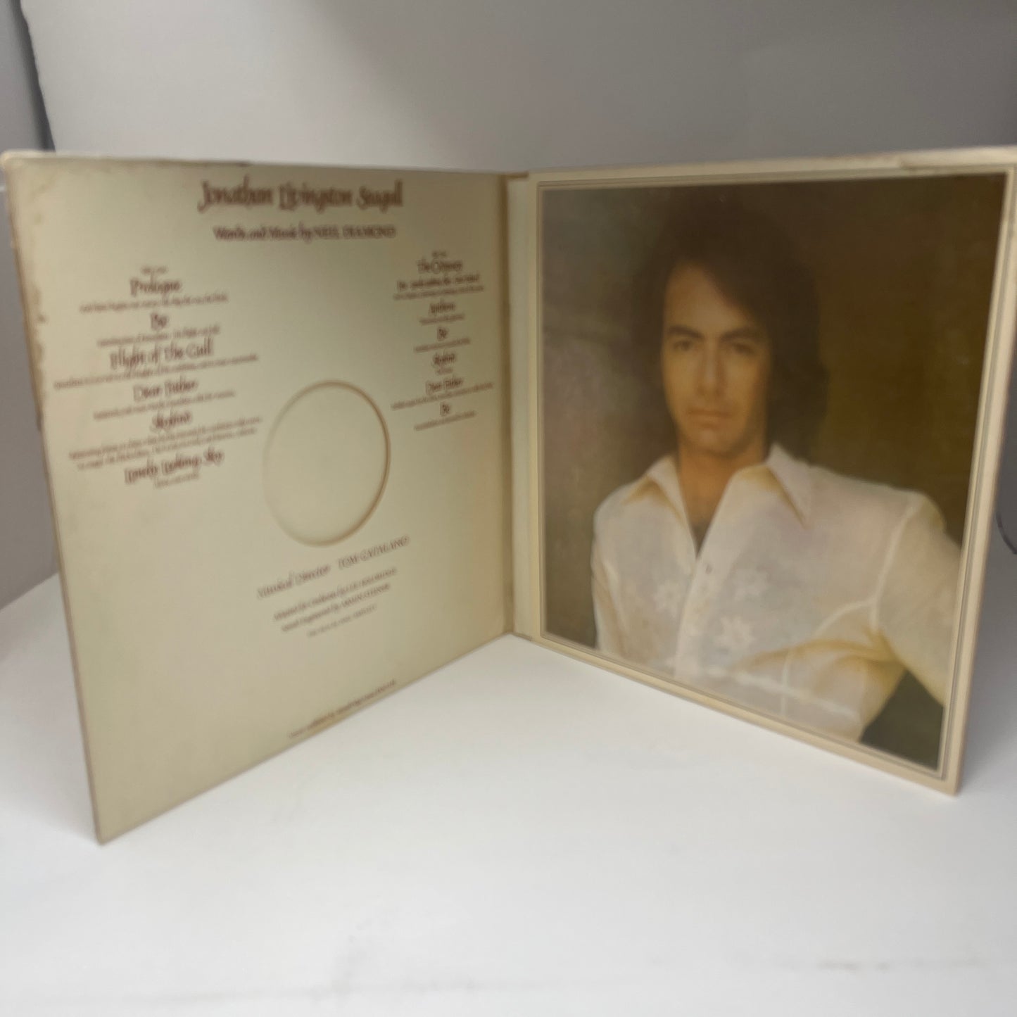 Neil Diamond : Jonathan Livingston Seagull (Original Motion Picture Sound Track) (LP,Album)