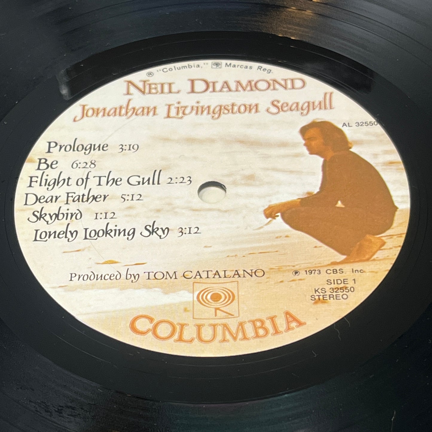 Neil Diamond : Jonathan Livingston Seagull (Original Motion Picture Sound Track) (LP,Album)