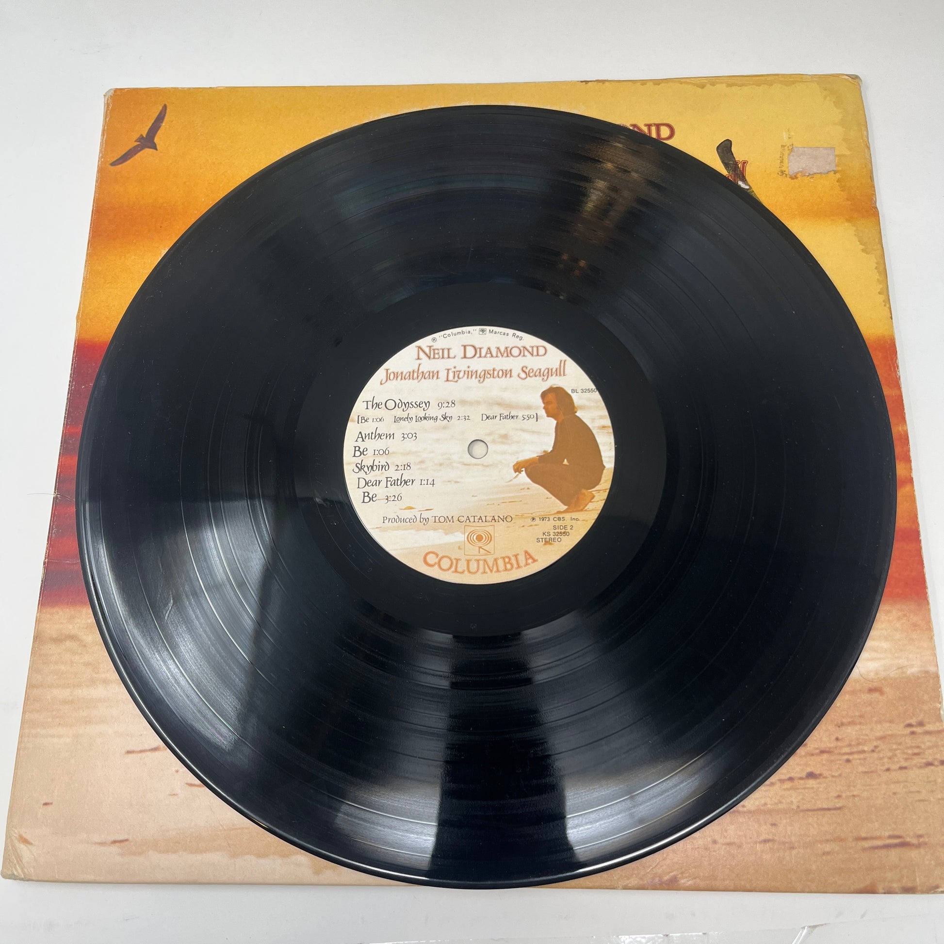 Neil Diamond : Jonathan Livingston Seagull (Original Motion Picture Sound Track) (LP,Album)