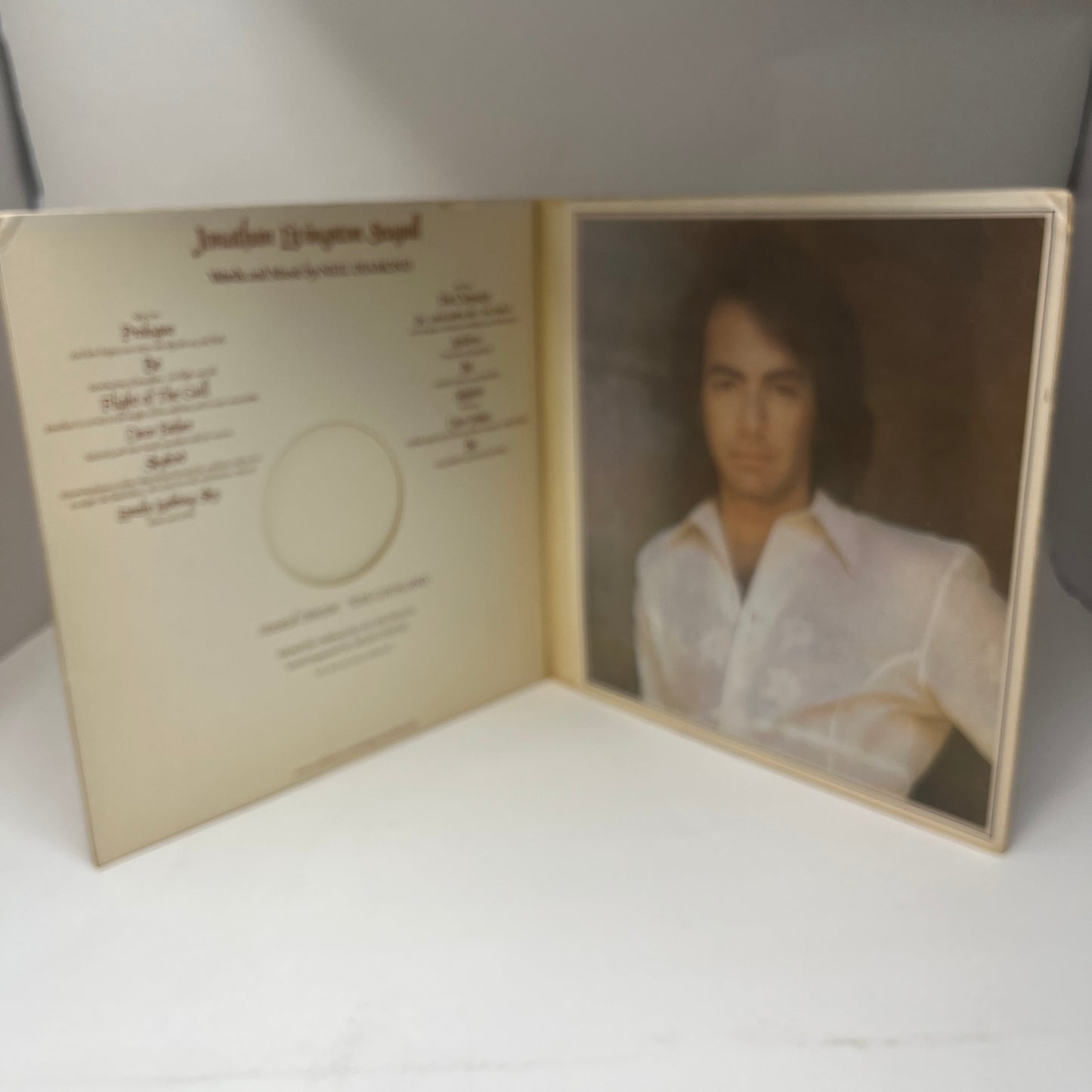 Neil Diamond : Jonathan Livingston Seagull (Original Motion Picture Sound Track) (LP,Album)