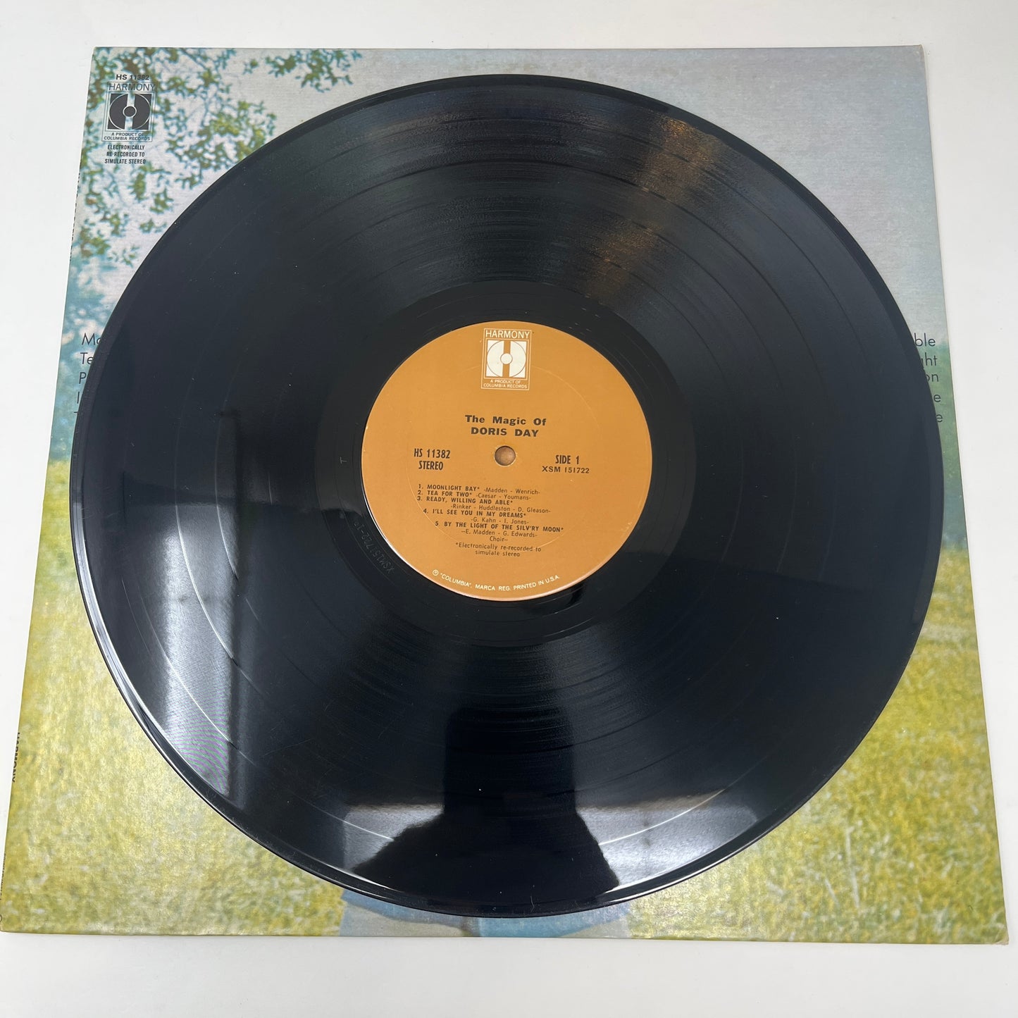 Doris Day : The Magic Of Doris Day (LP,Compilation)