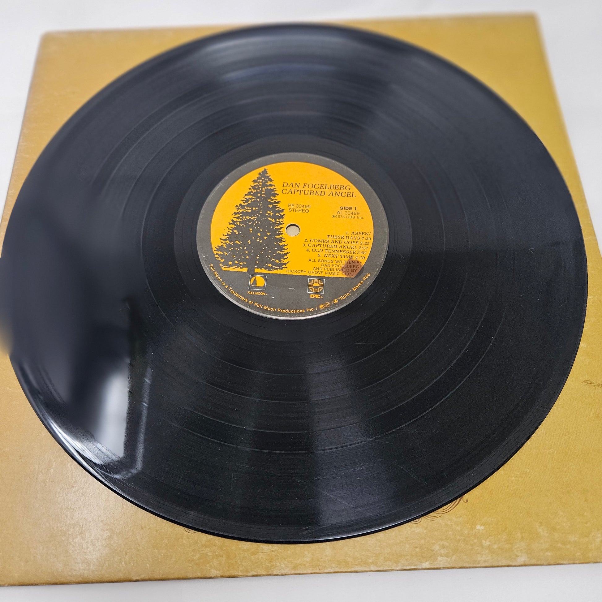 Dan Fogelberg : Captured Angel (LP,Album)