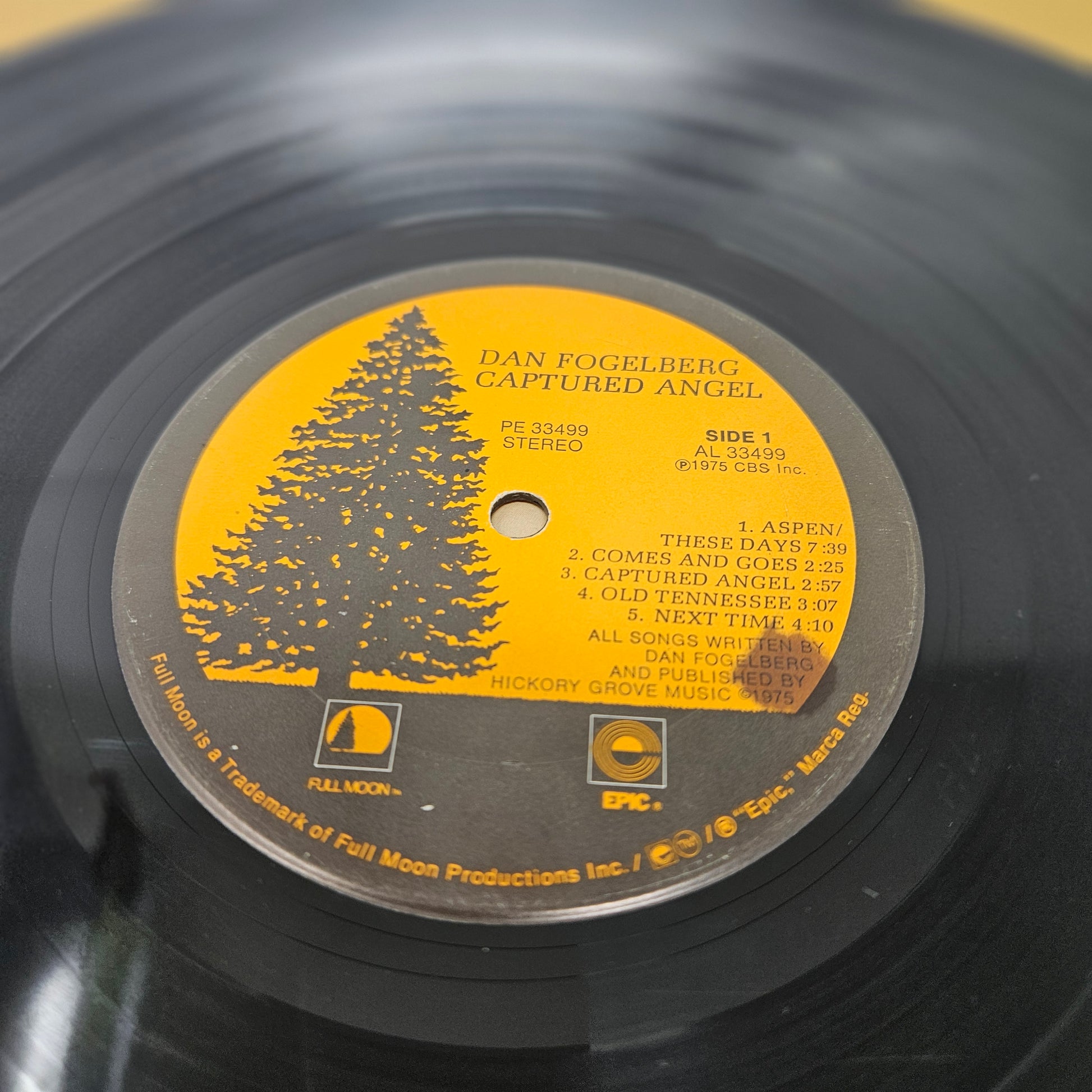 Dan Fogelberg : Captured Angel (LP,Album)
