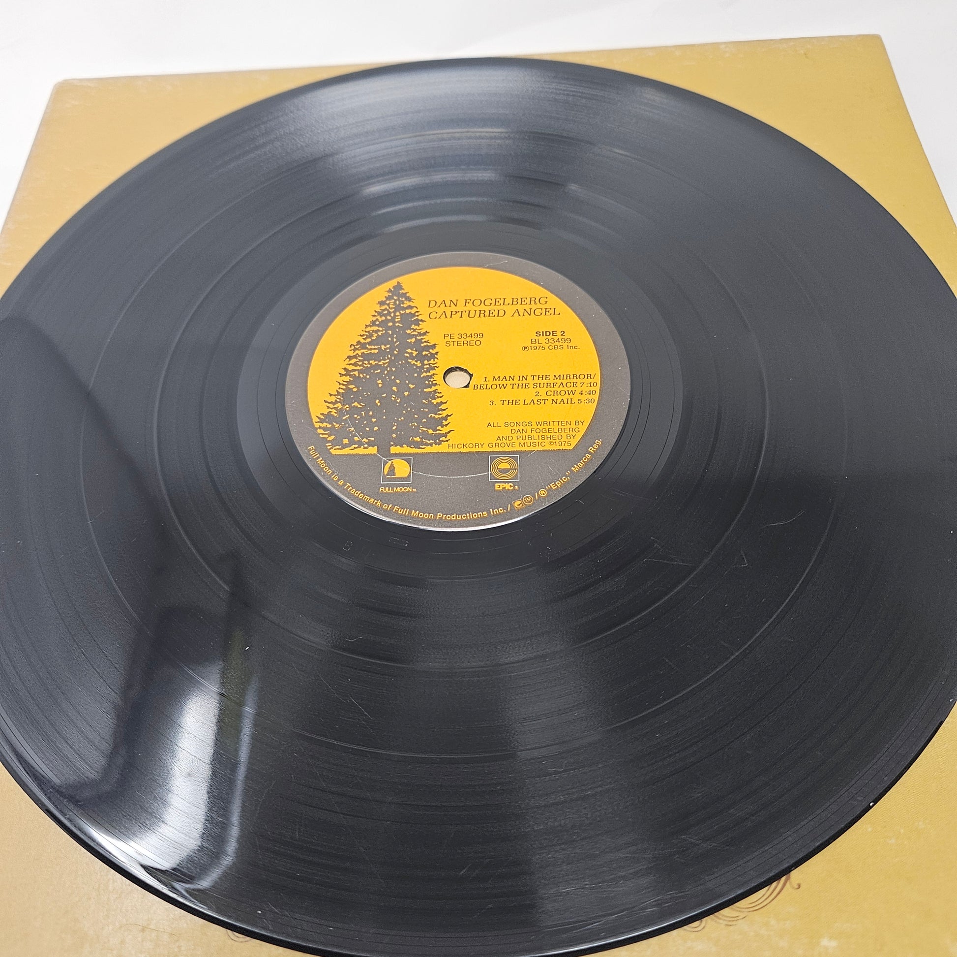 Dan Fogelberg : Captured Angel (LP,Album)