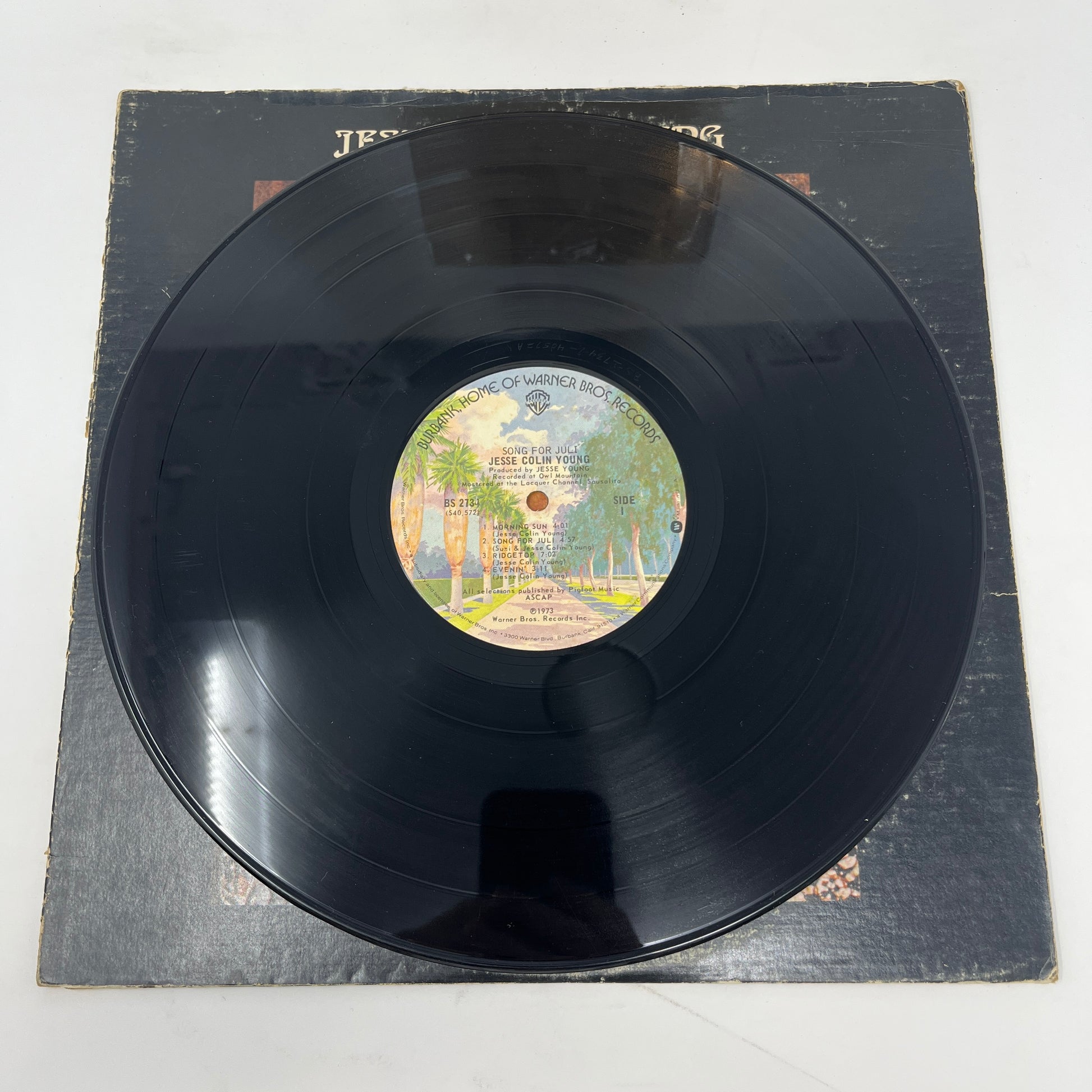 Jesse Colin Young : Song For Juli (LP,Album)