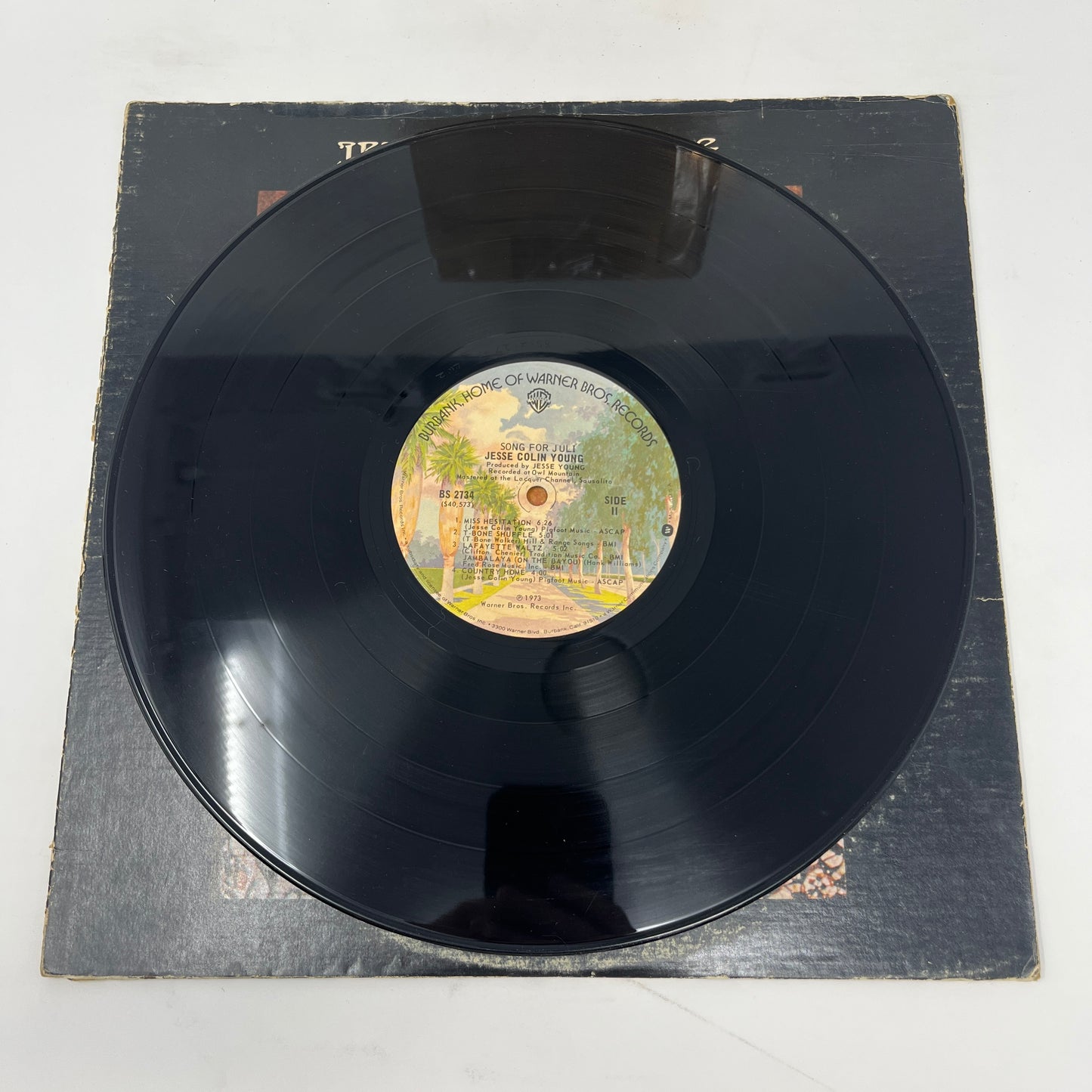 Jesse Colin Young : Song For Juli (LP,Album)