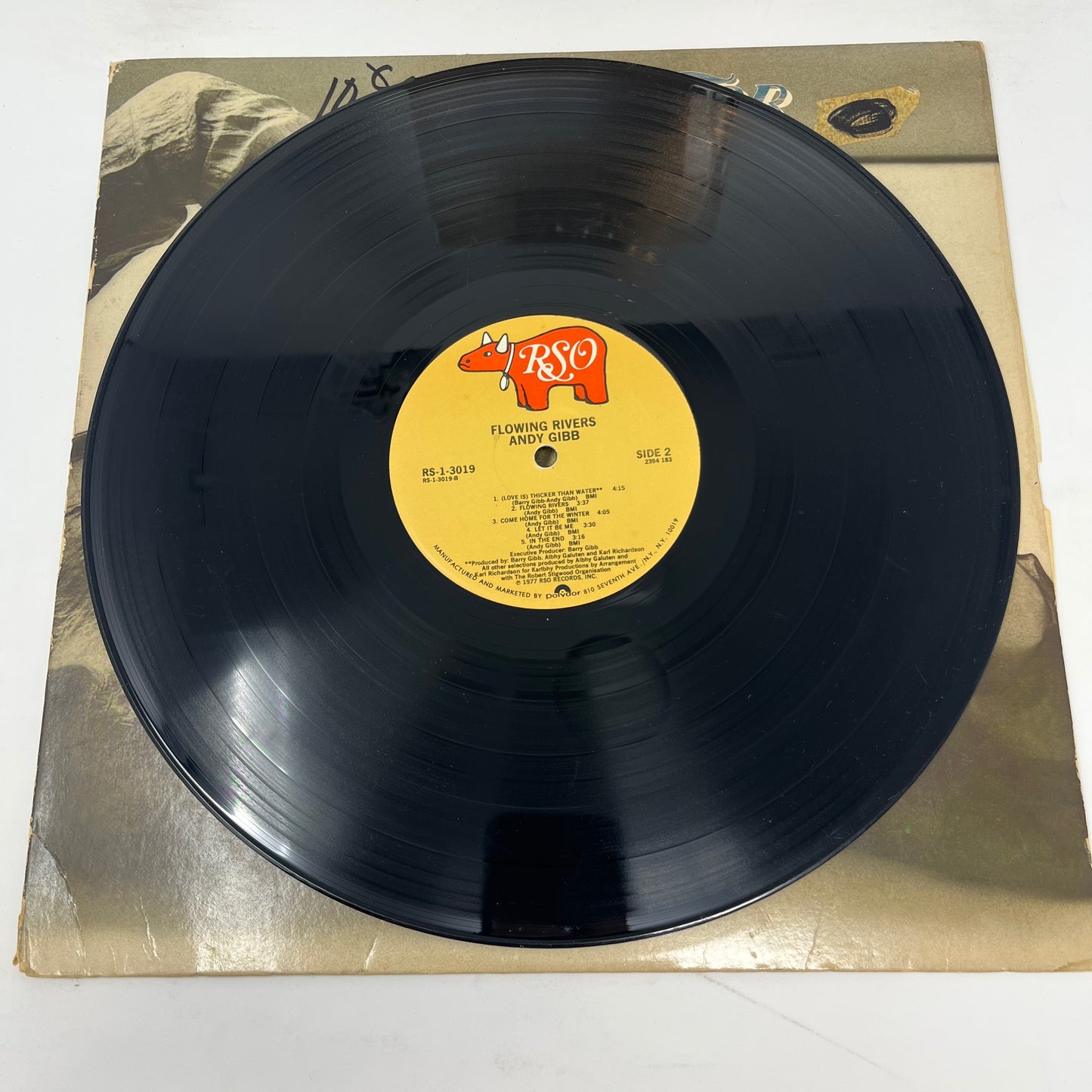 Andy Gibb : Flowing Rivers (LP,Album,Stereo)