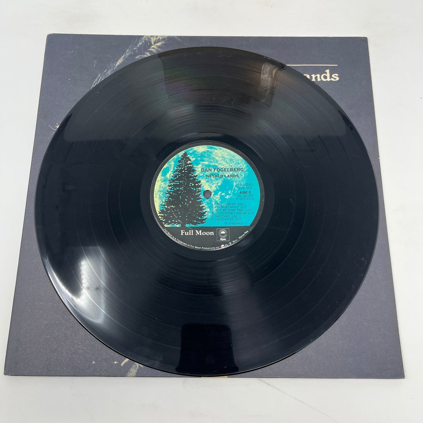 Dan Fogelberg : Nether Lands (LP,Album,Stereo)