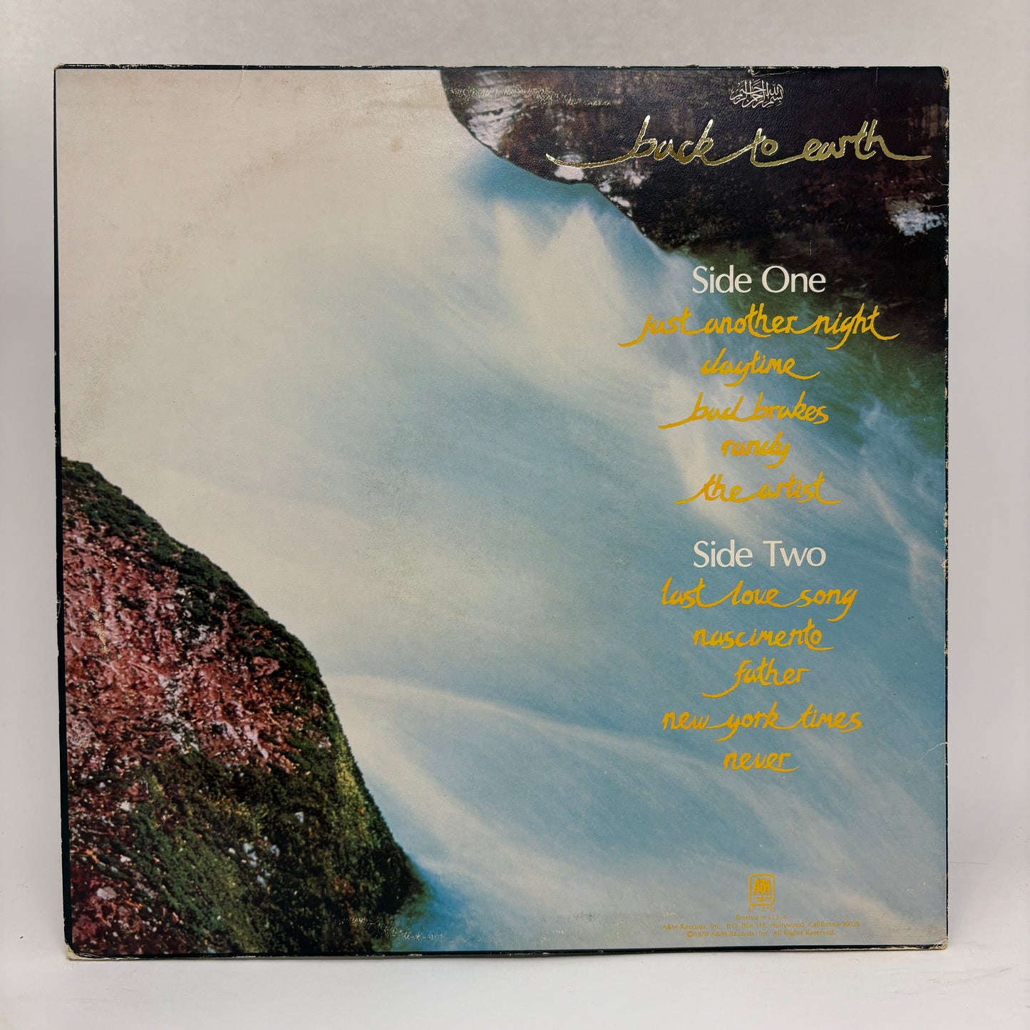 Cat Stevens : Back To Earth (LP,Album)