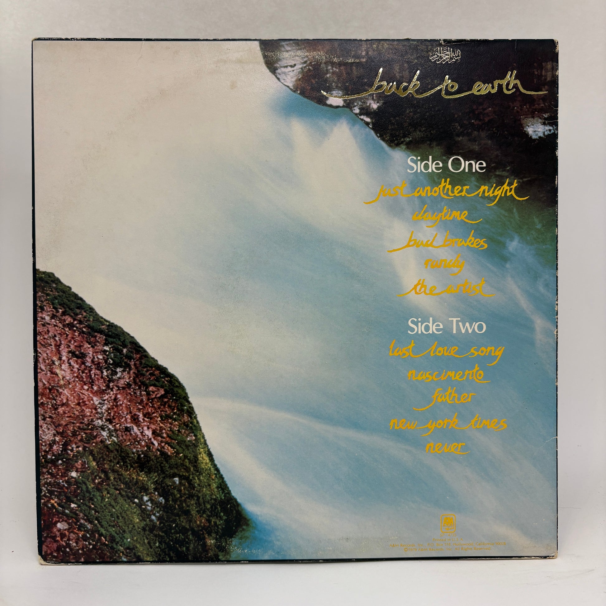 Cat Stevens : Back To Earth (LP,Album)