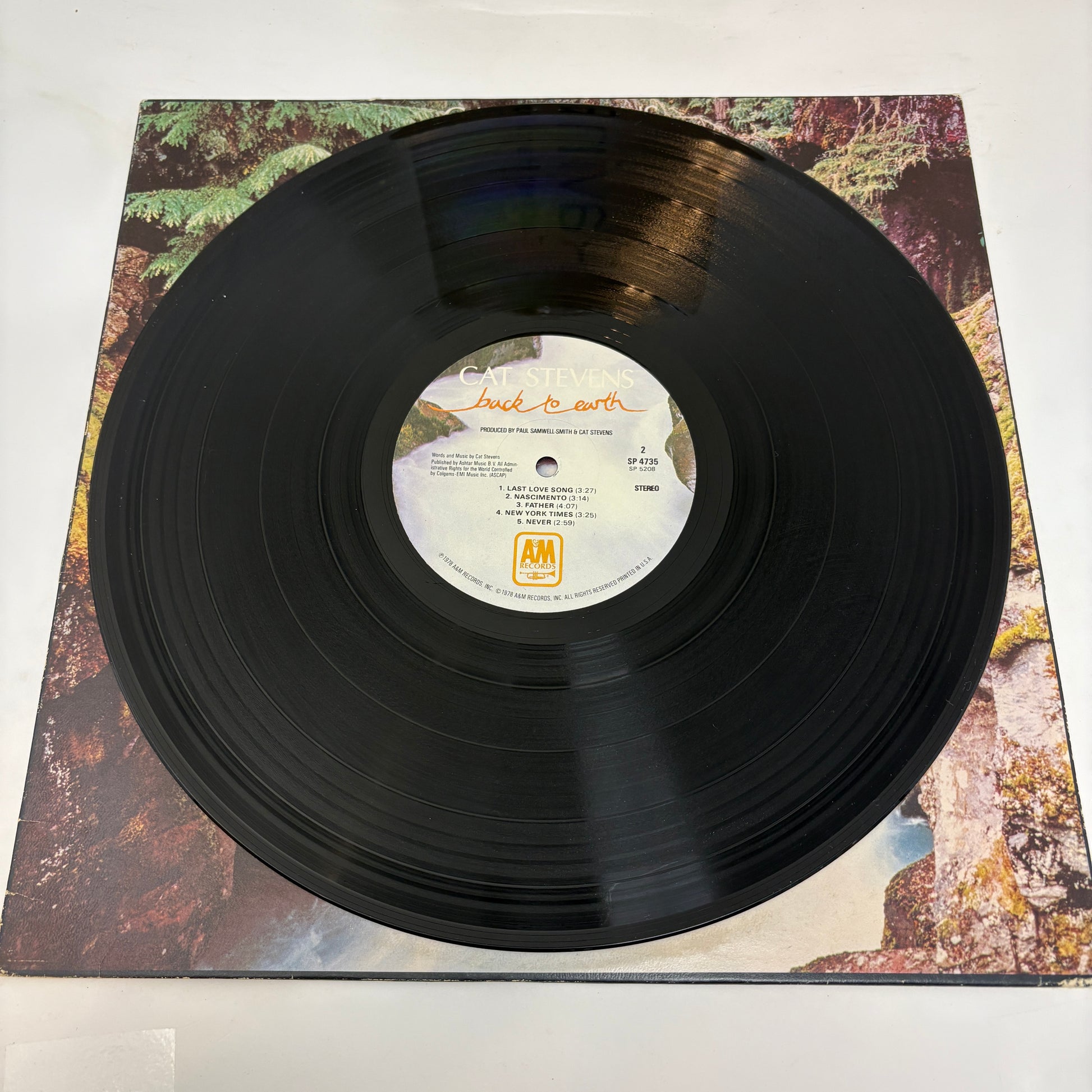 Cat Stevens : Back To Earth (LP,Album)
