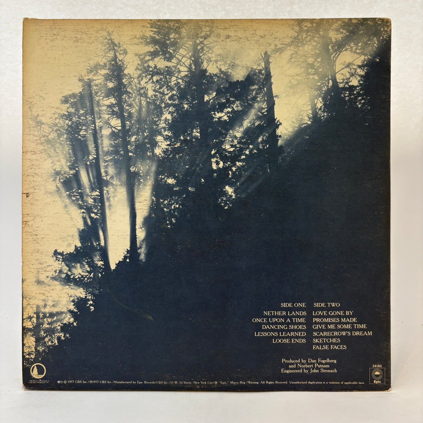 Dan Fogelberg : Nether Lands (LP,Album)