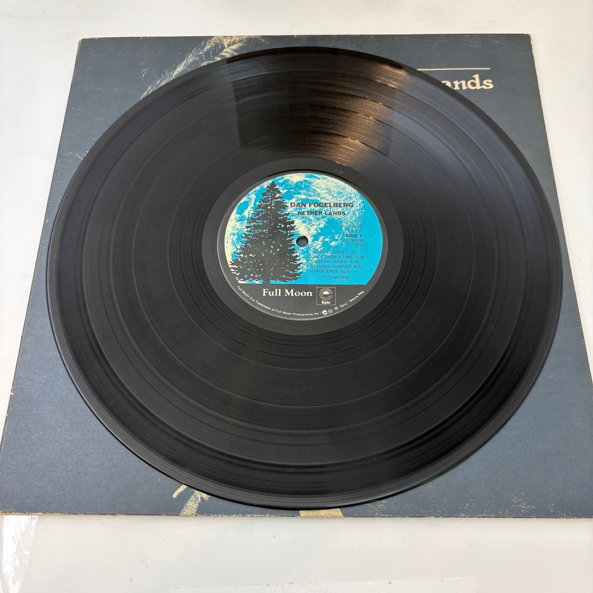 Dan Fogelberg : Nether Lands (LP,Album)