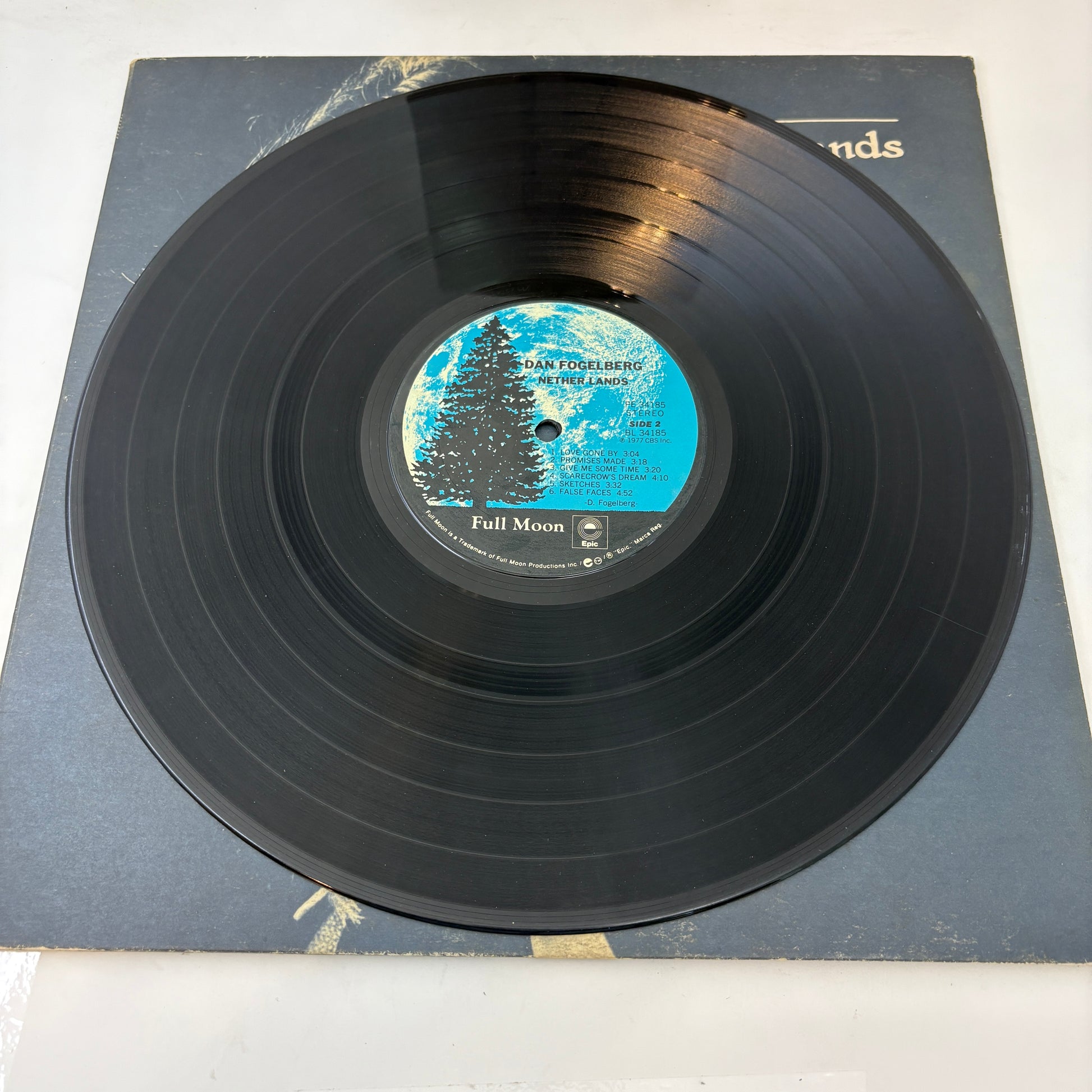 Dan Fogelberg : Nether Lands (LP,Album)