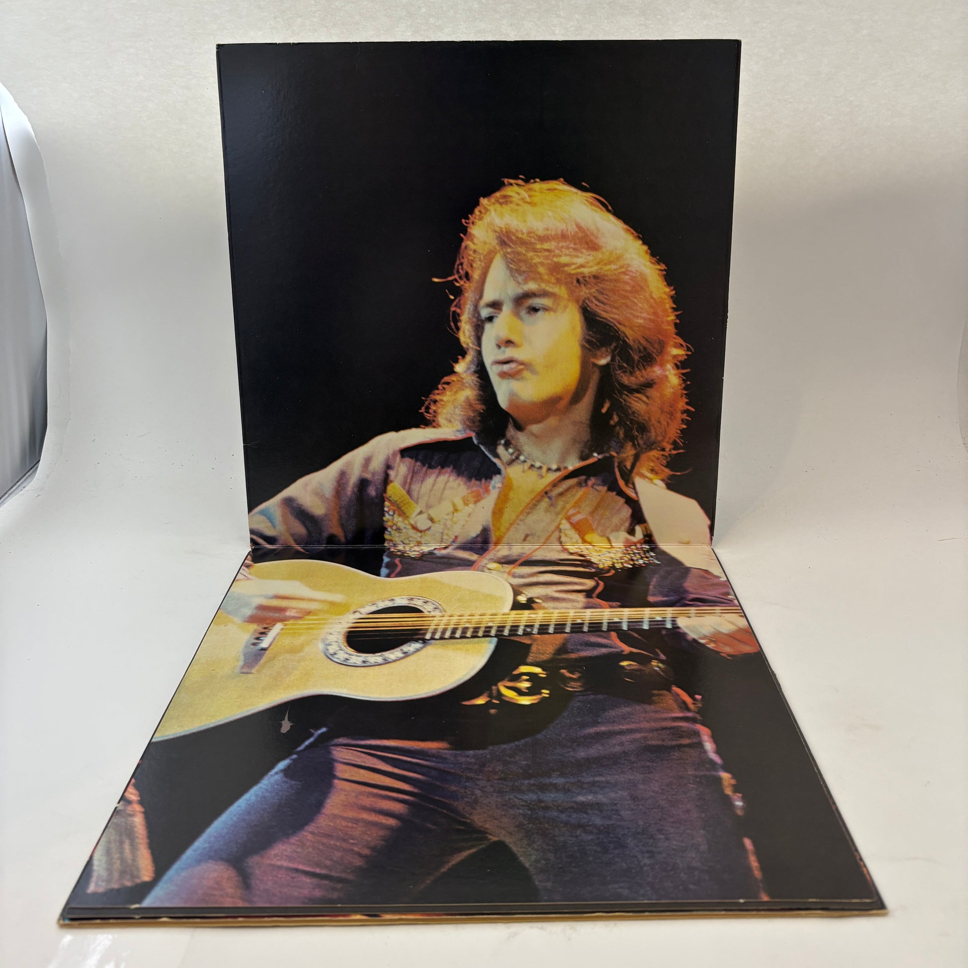 Neil Diamond : Hot August Night (LP,Album)