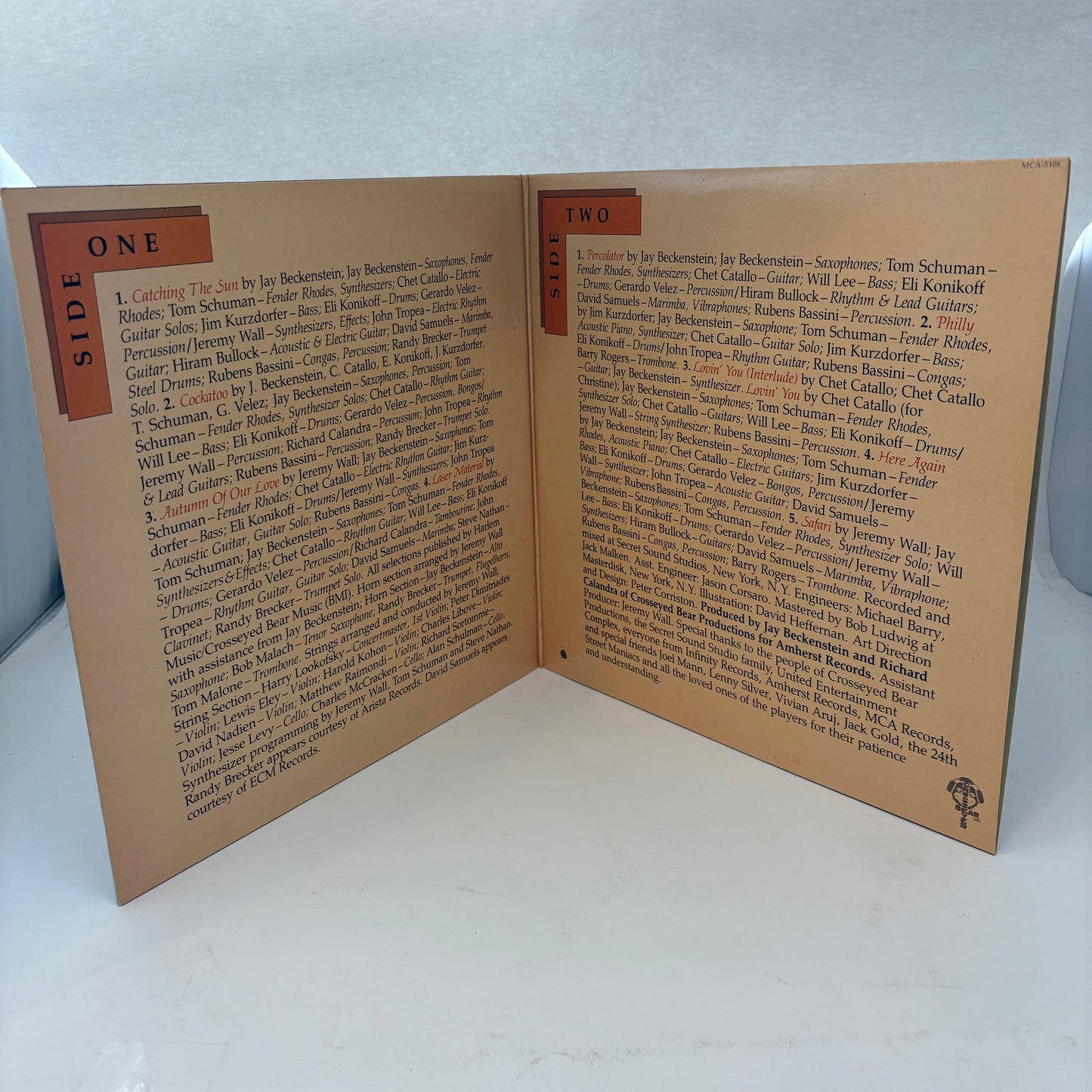 Spyro Gyra : Catching The Sun (LP,Album)