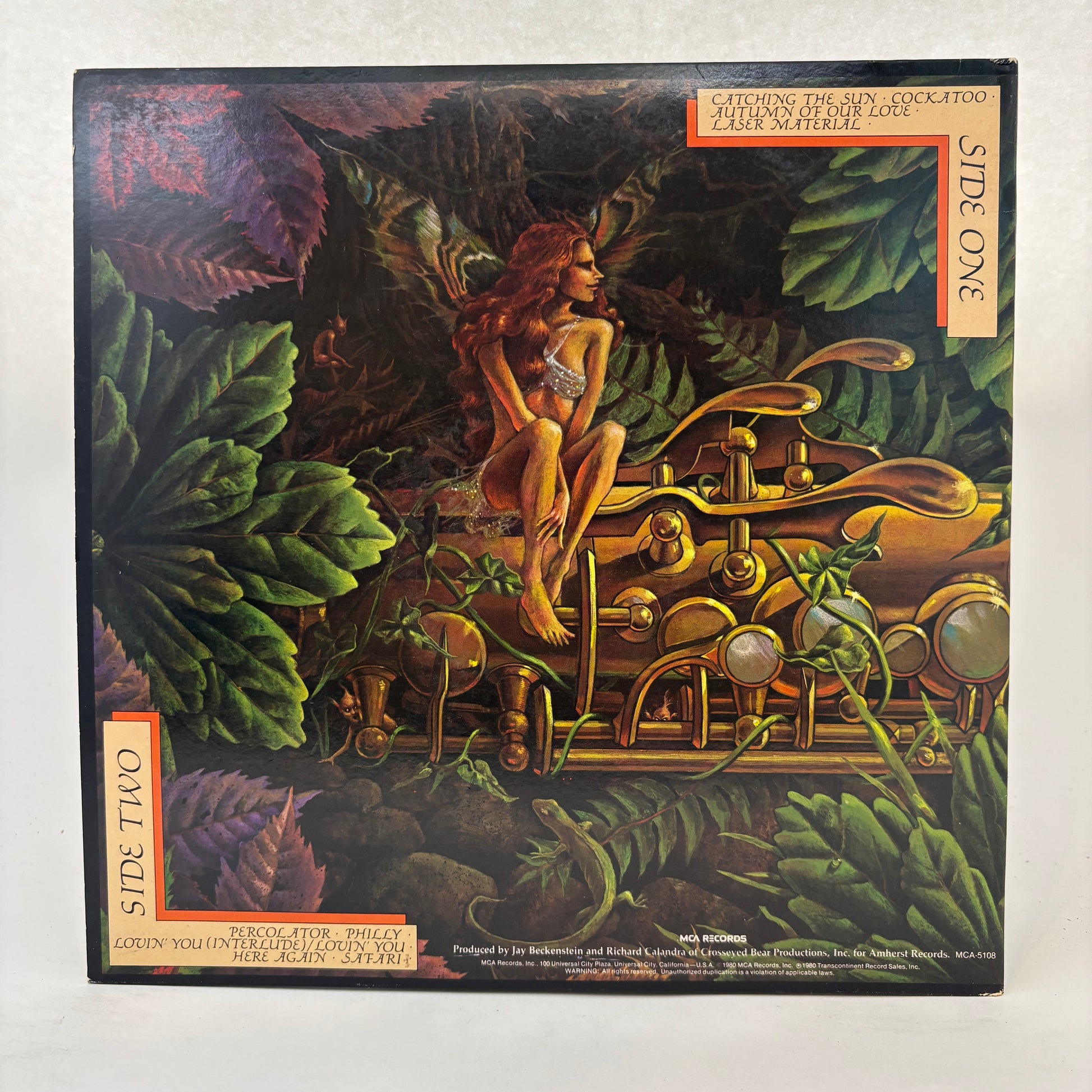 Spyro Gyra : Catching The Sun (LP,Album)