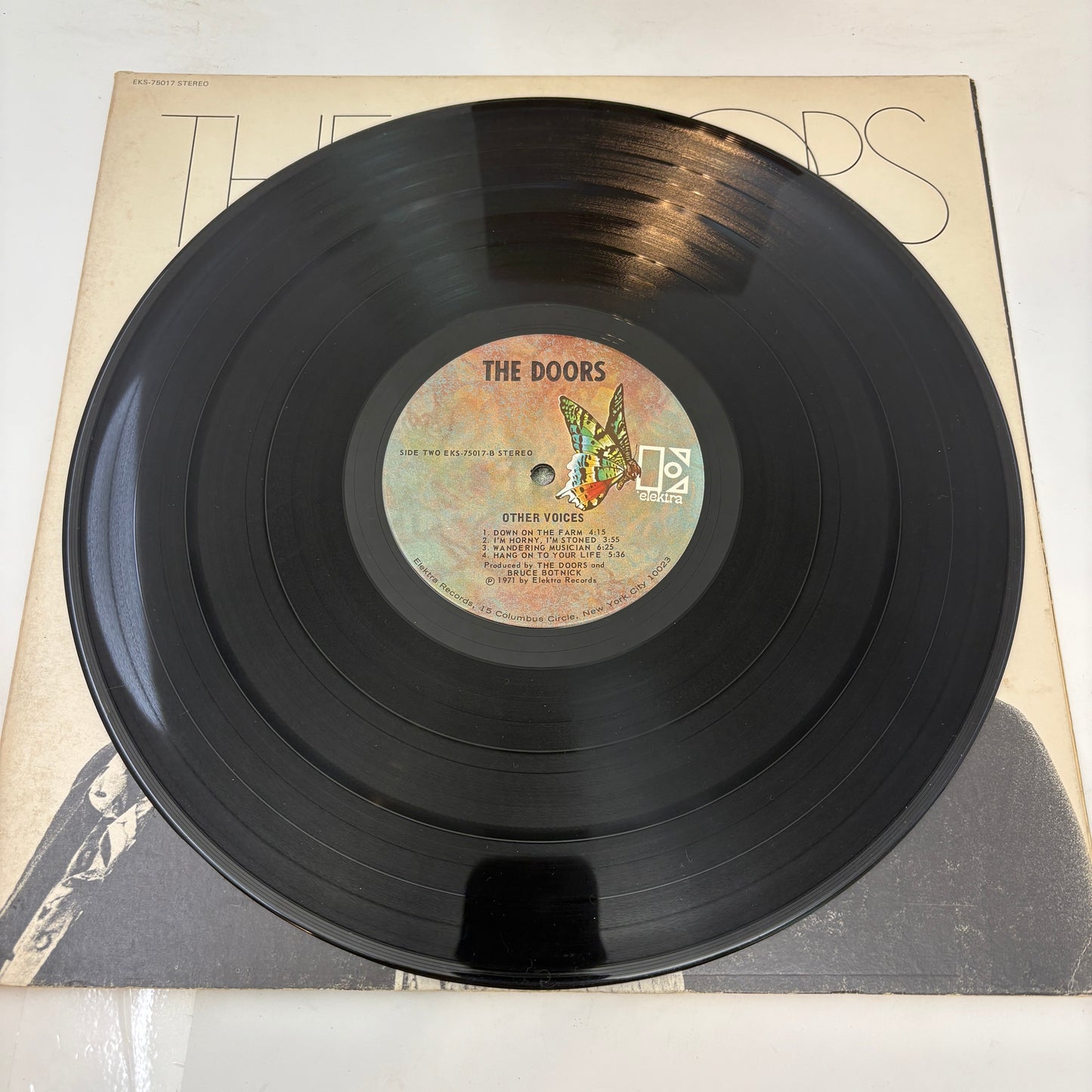 The Doors : Other Voices (LP,Album)