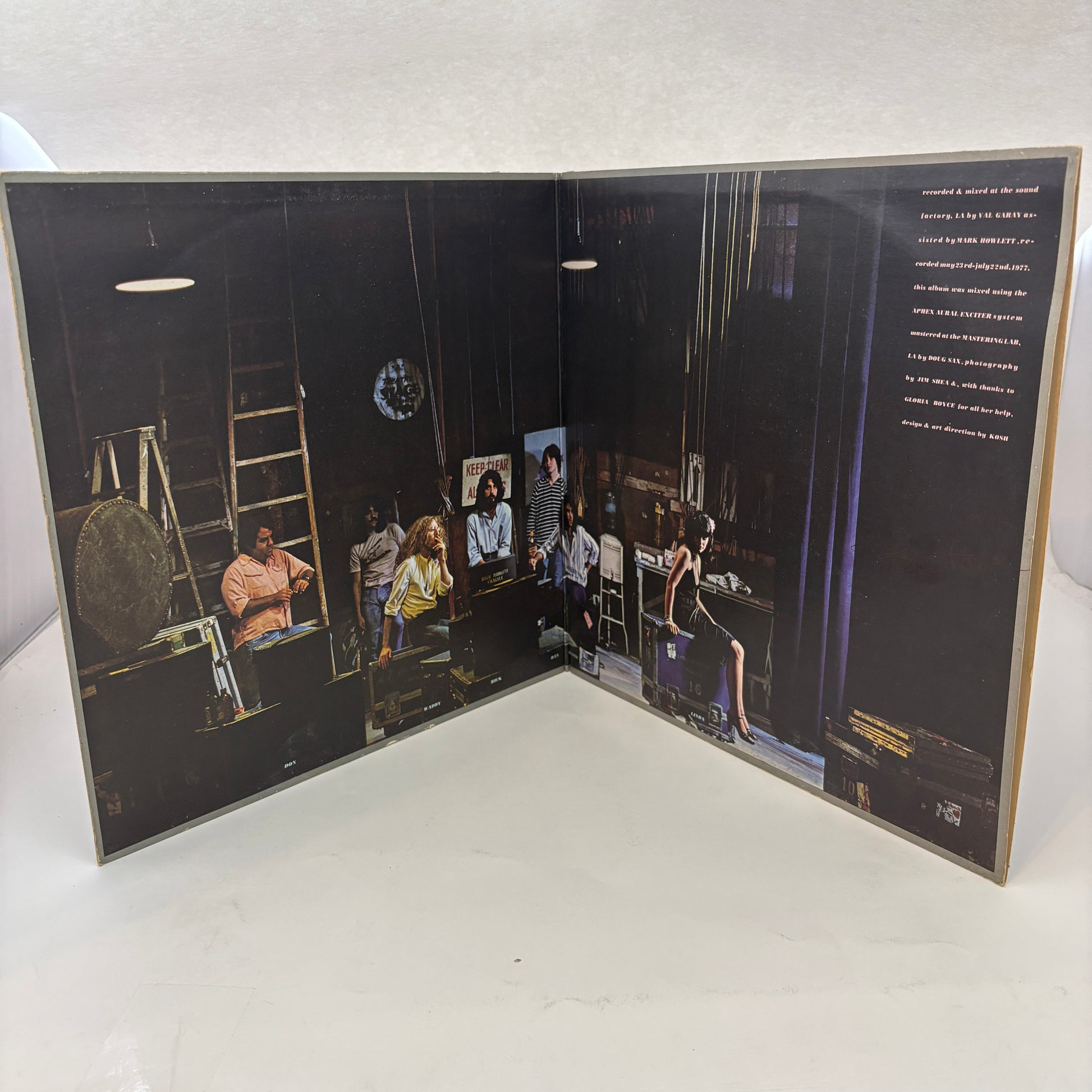 Linda Ronstadt : Simple Dreams (LP,Album)