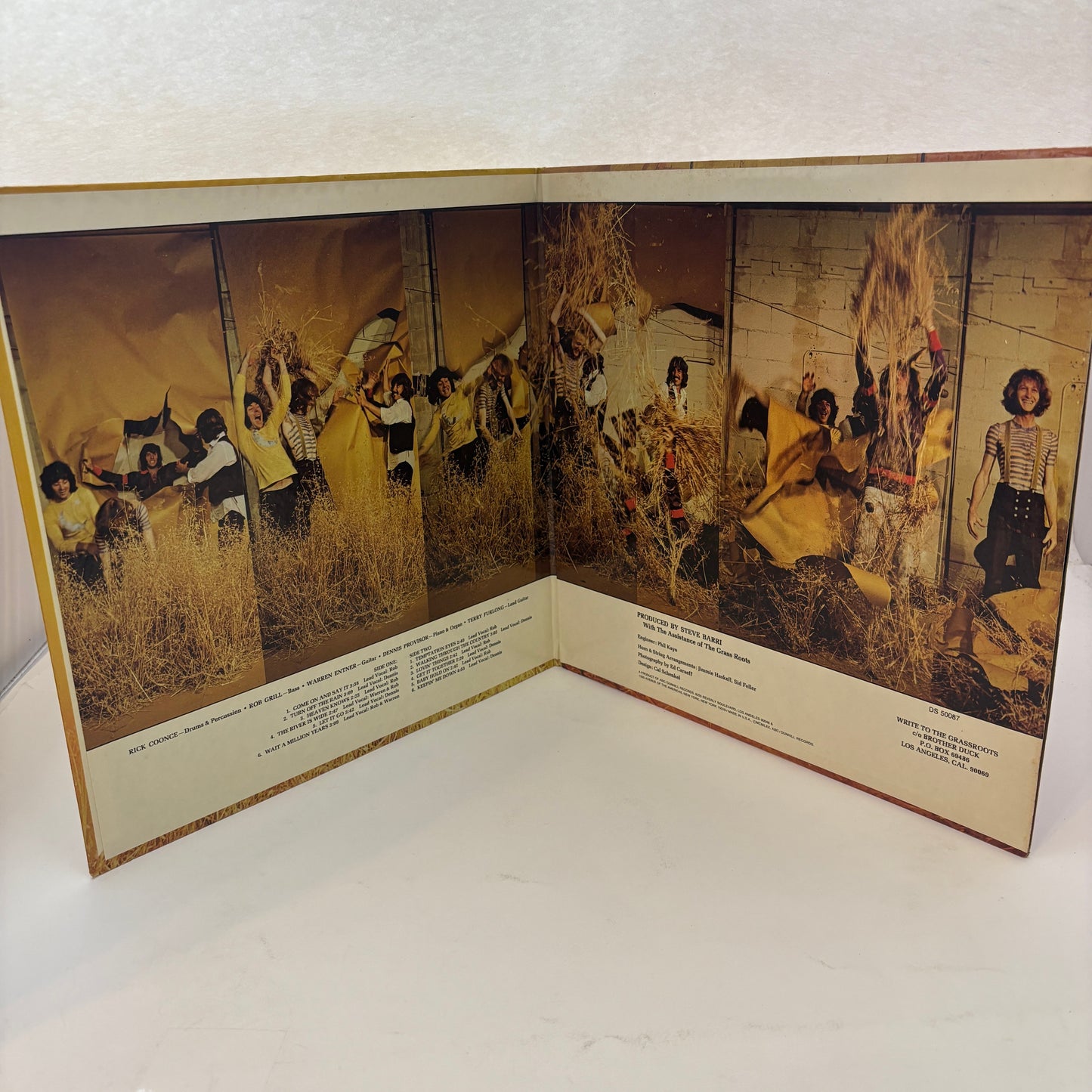 The Grass Roots : More Golden Grass (LP,Compilation)