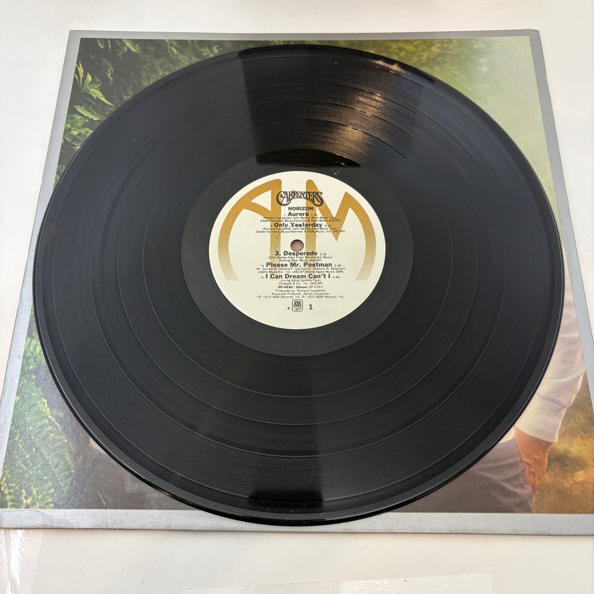 Carpenters : Horizon (LP,Album)