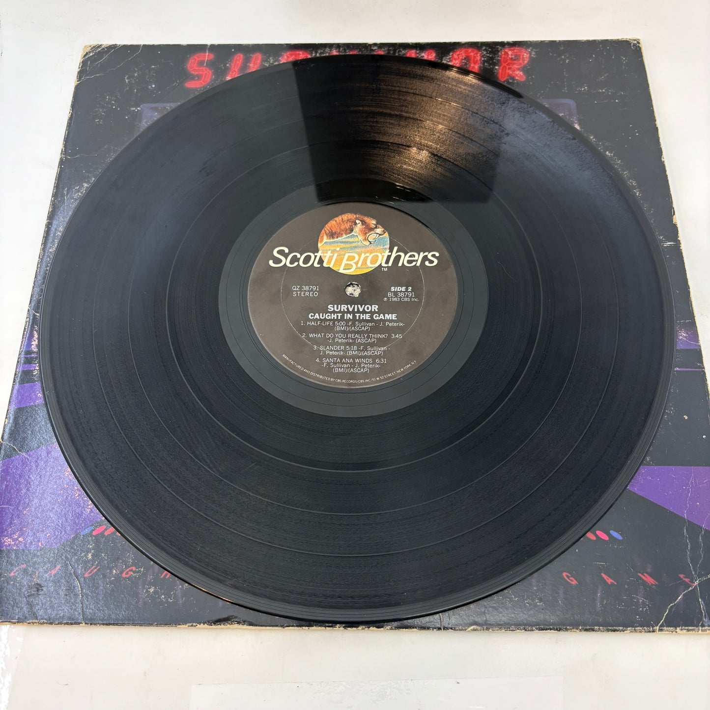 Survivor : Caught In The Game (LP,Album)