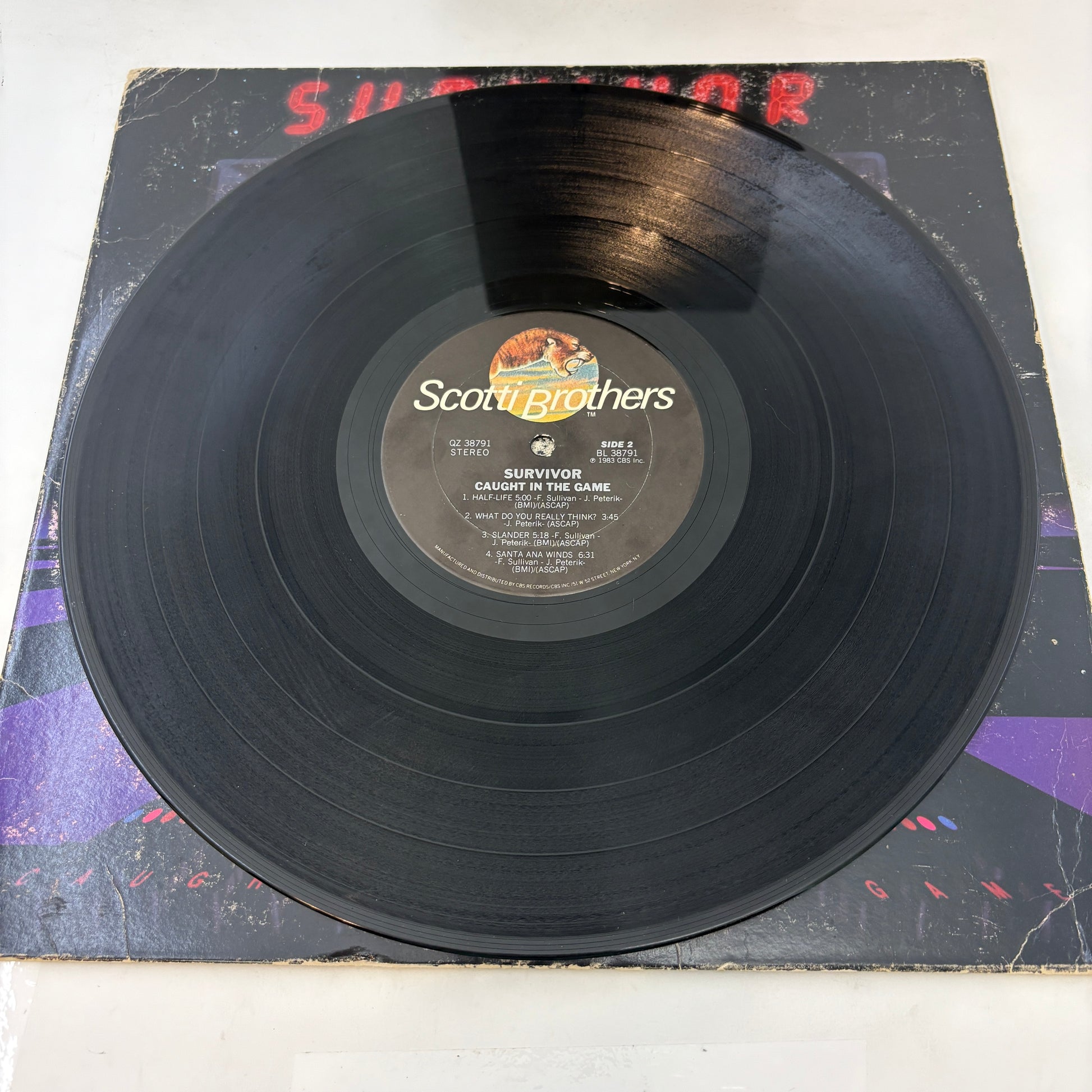 Survivor : Caught In The Game (LP,Album)