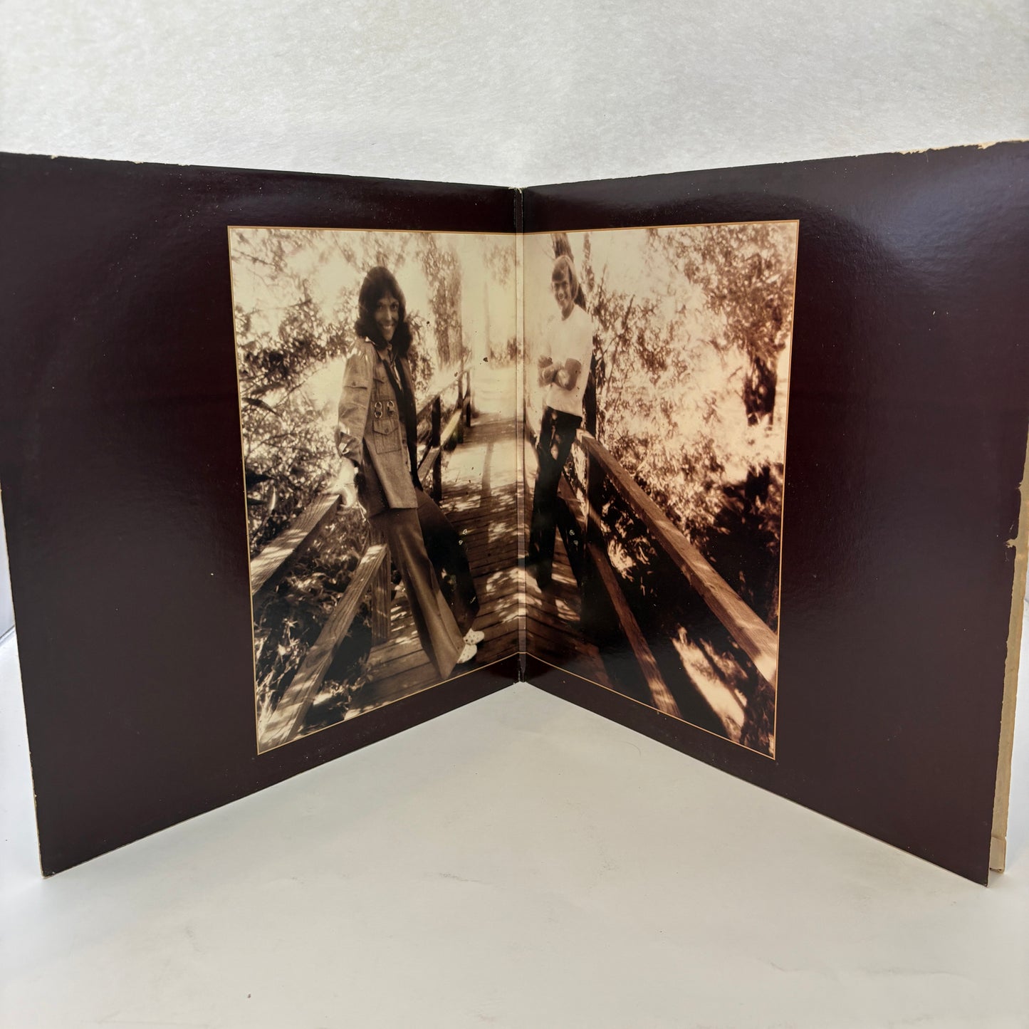 Carpenters : The Singles 1969-1973 (LP,Compilation,Reissue,Club Edition,Album)