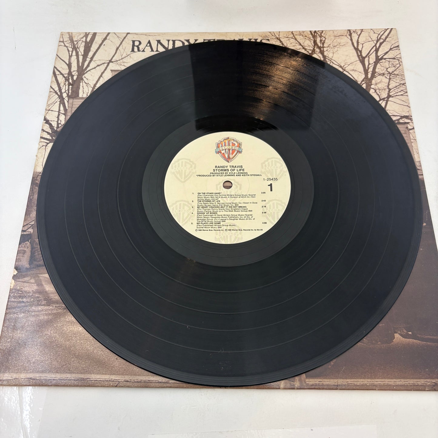 Randy Travis : Storms Of Life (LP,Album)