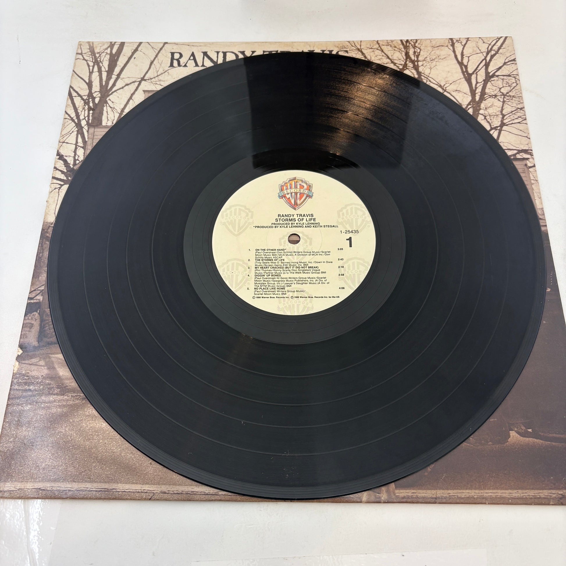 Randy Travis : Storms Of Life (LP,Album)