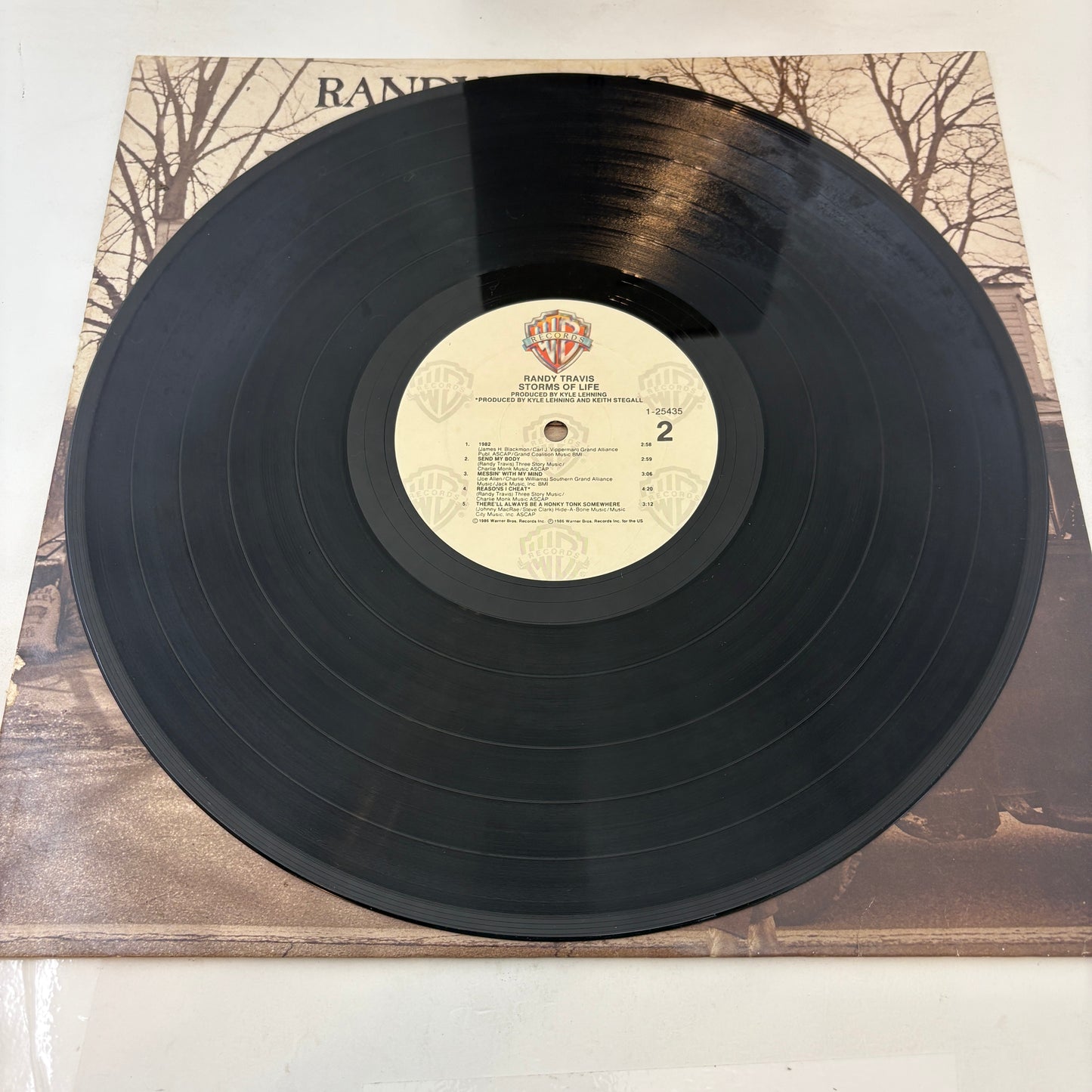 Randy Travis : Storms Of Life (LP,Album)