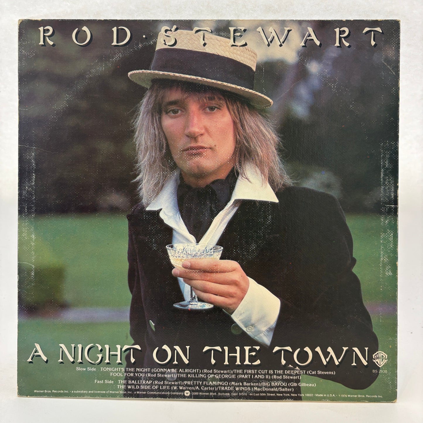 Rod Stewart : A Night On The Town (LP,Album)