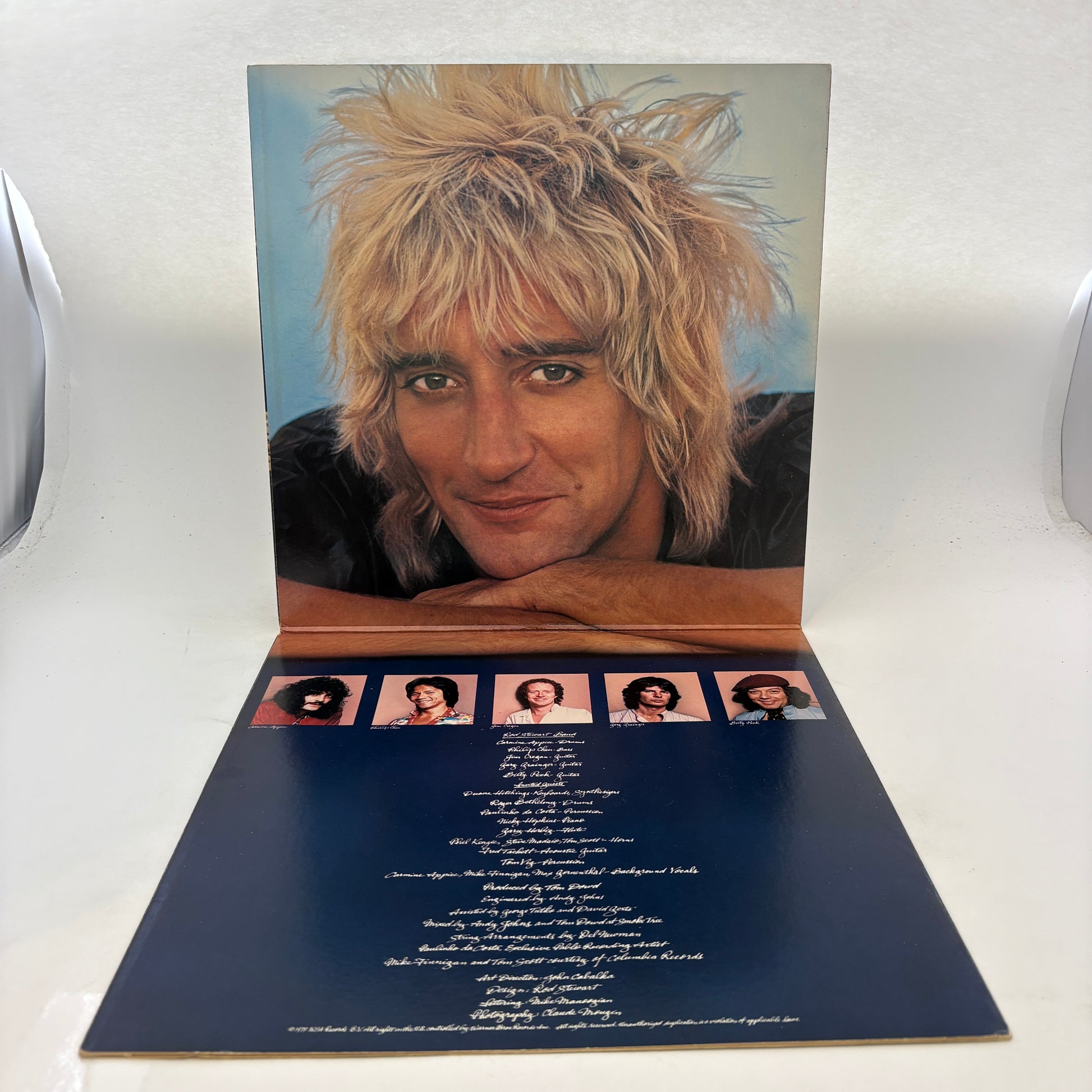 Rod Stewart : Blondes Have More Fun (LP,Album)
