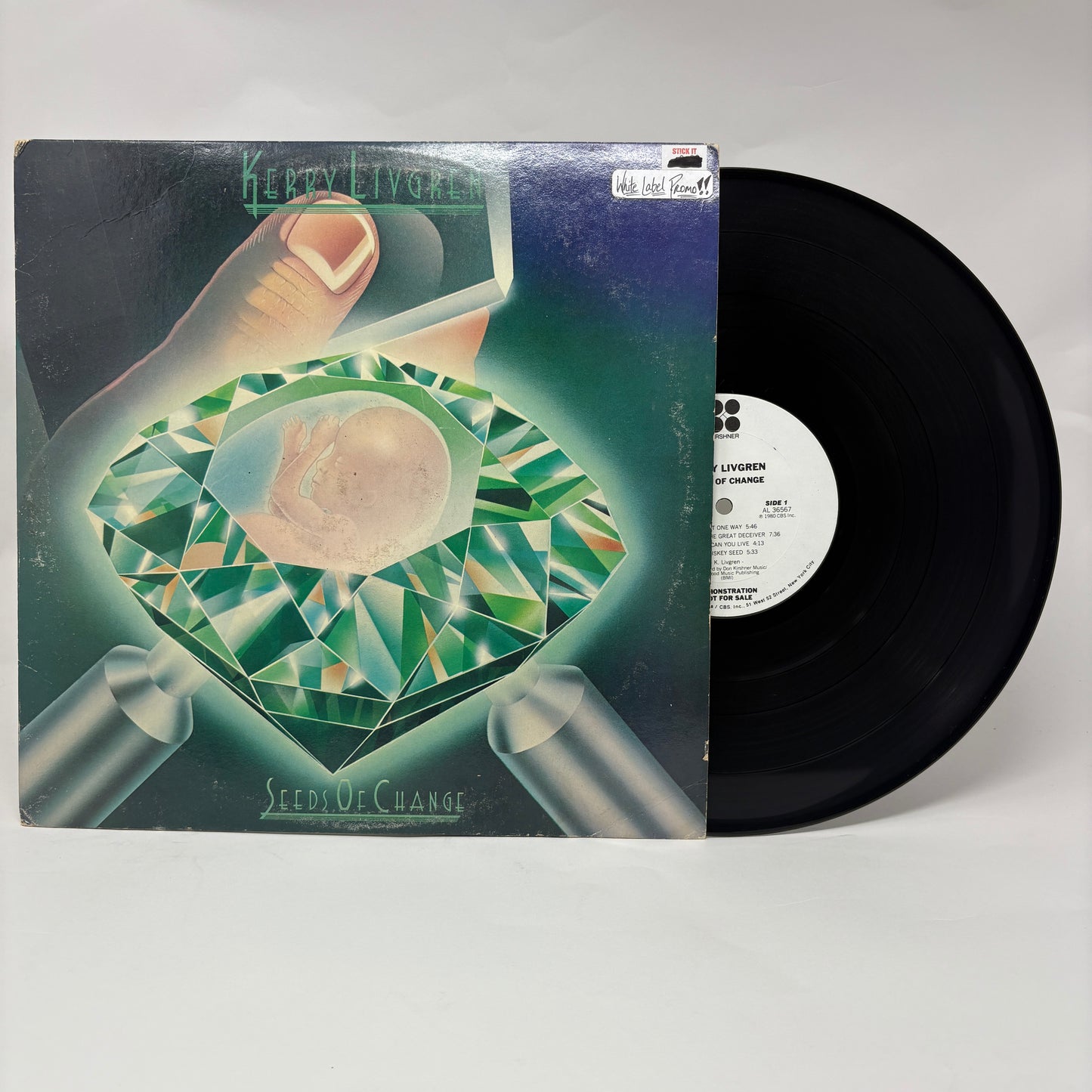 Kerry Livgren : Seeds Of Change (LP,Album)