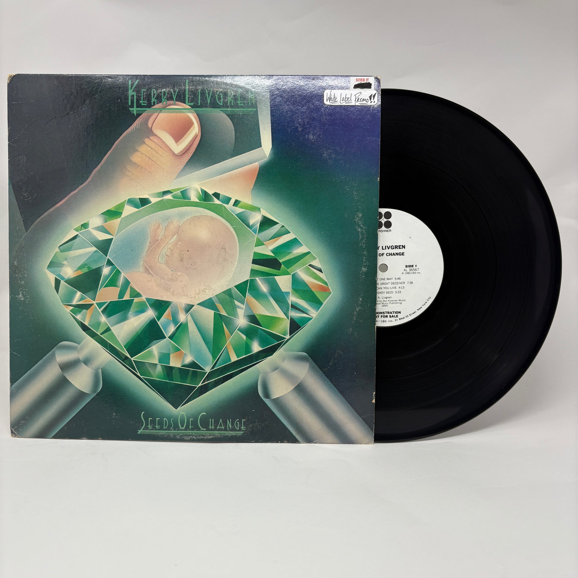 Kerry Livgren : Seeds Of Change (LP,Album)