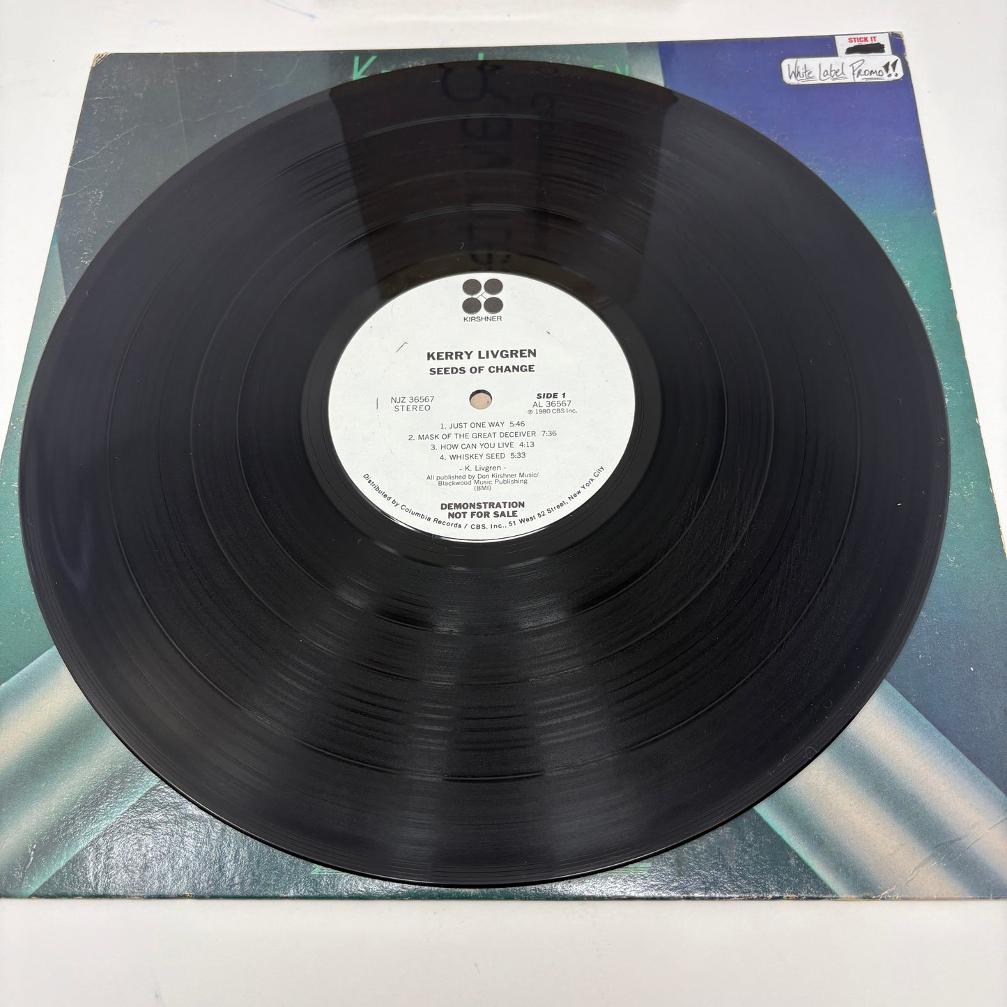 Kerry Livgren : Seeds Of Change (LP,Album)