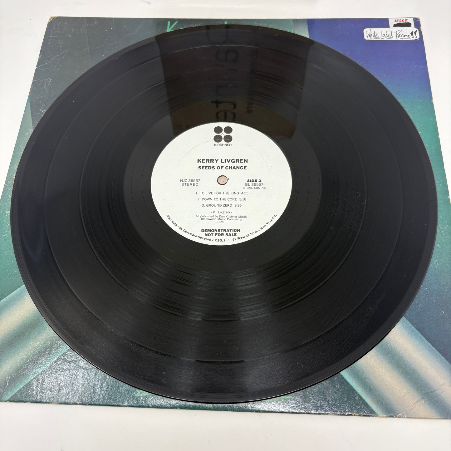 Kerry Livgren : Seeds Of Change (LP,Album)