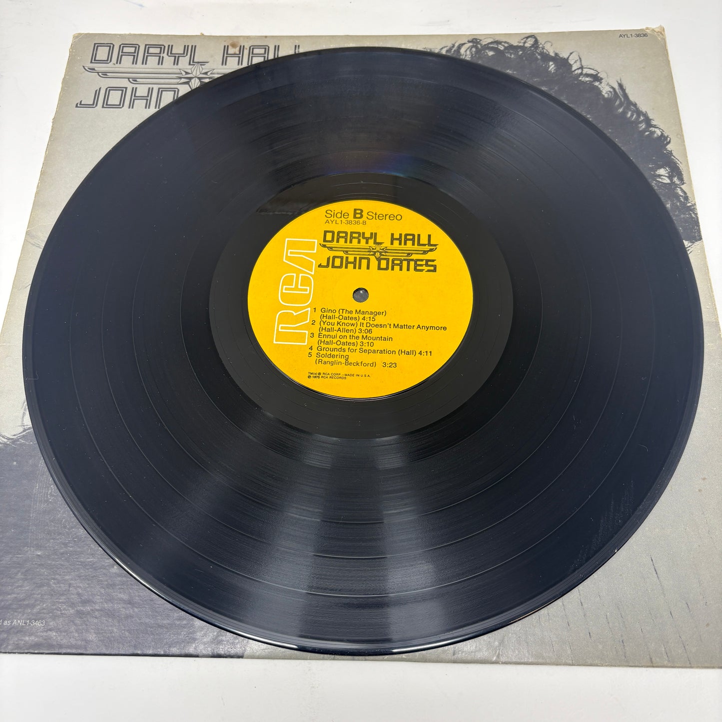Daryl Hall & John Oates : Daryl Hall & John Oates (LP,Album,Reissue)