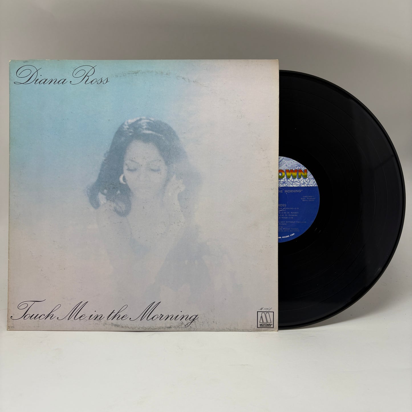 Diana Ross : Touch Me In The Morning (LP,Album)
