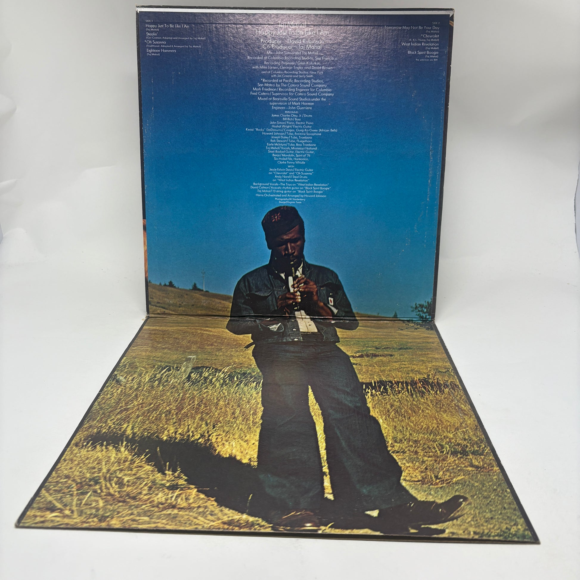 Taj Mahal : Happy Just To Be Like I Am (LP,Album)