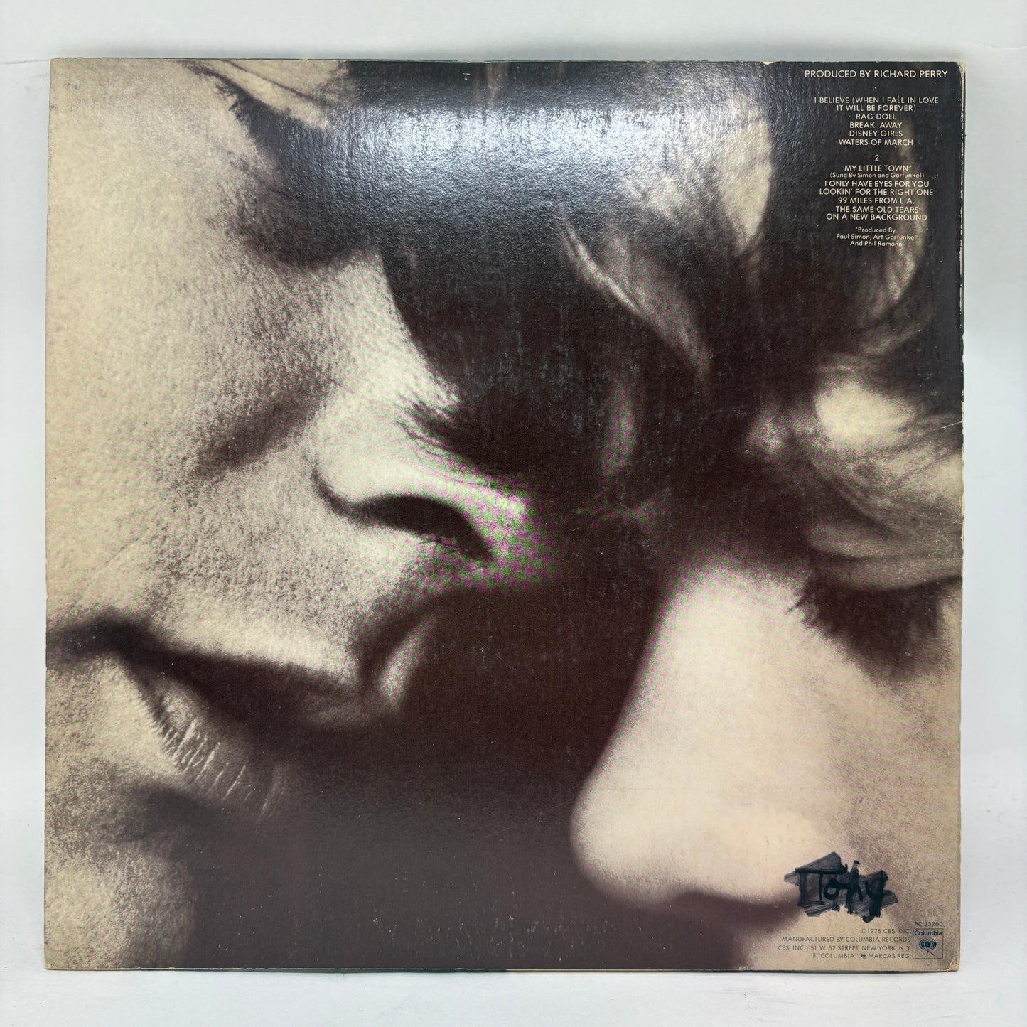 Art Garfunkel : Breakaway (LP,Album)