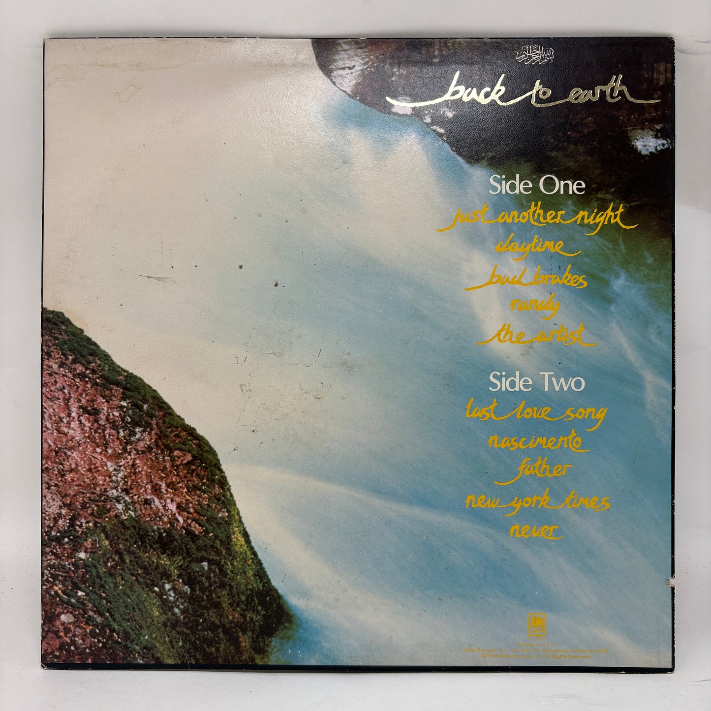 Cat Stevens : Back To Earth (LP,Album,Stereo)