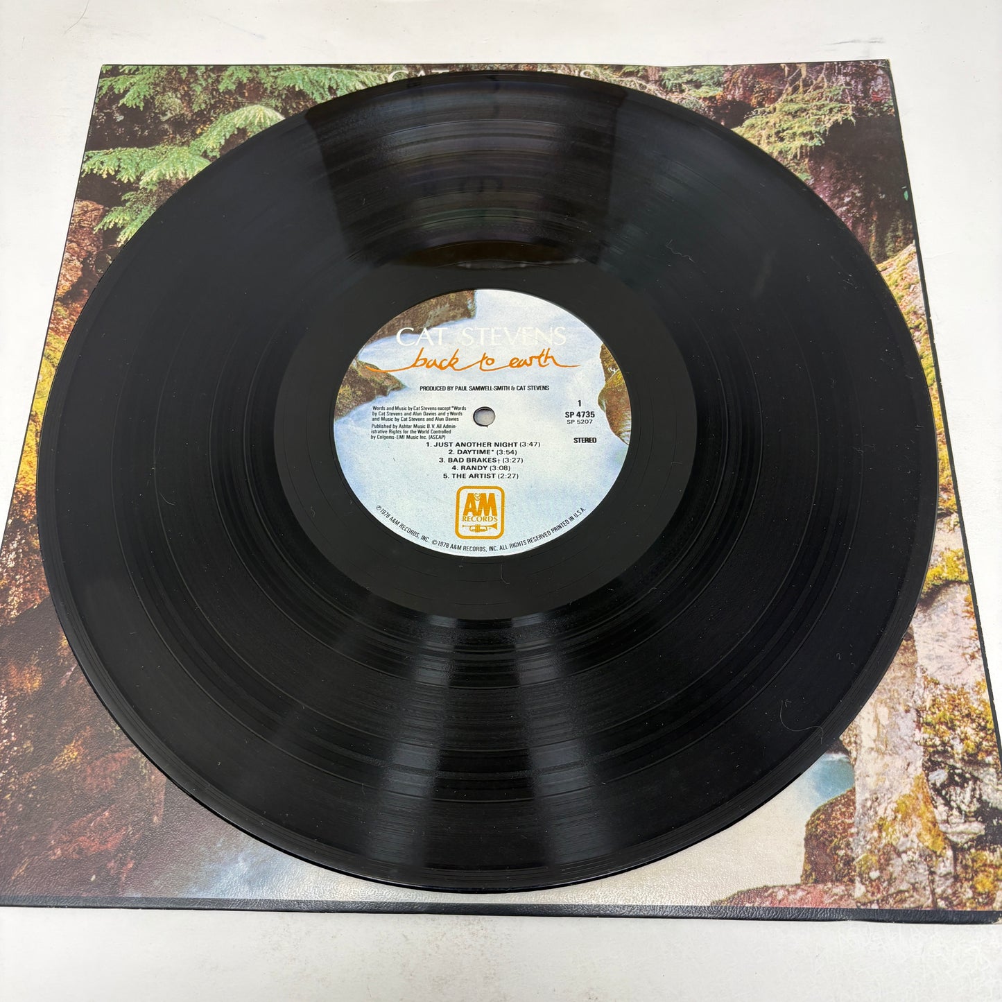 Cat Stevens : Back To Earth (LP,Album,Stereo)