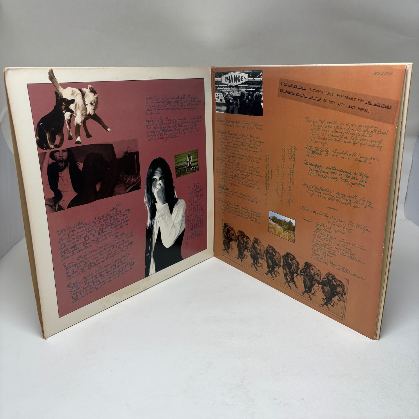 Neil Young : Decade (LP,Compilation)