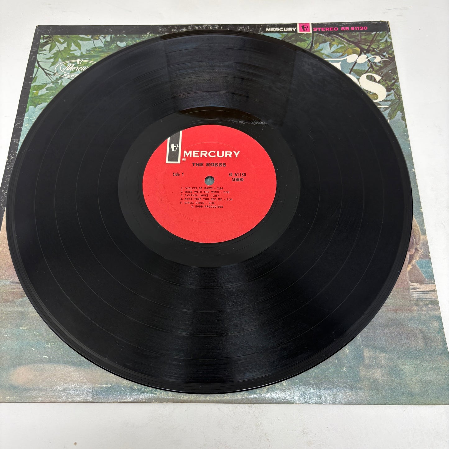 The Robbs : The Robbs (LP,Album,Stereo)